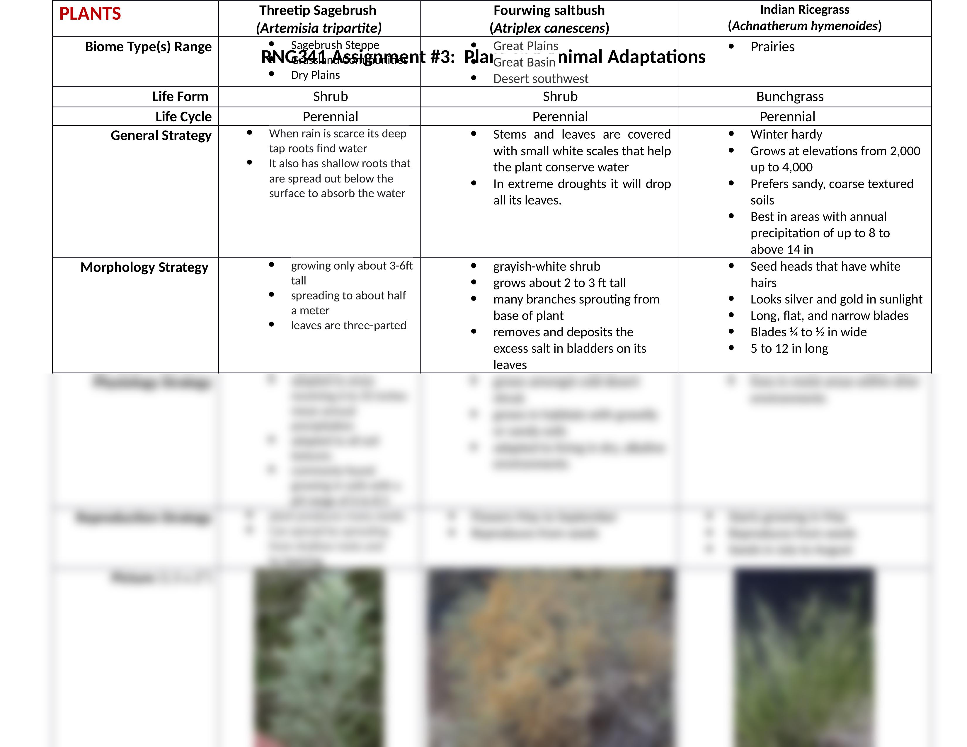 Assignment #3 Plant and Animal Adaptations.docx_dcjjiyrft2o_page2