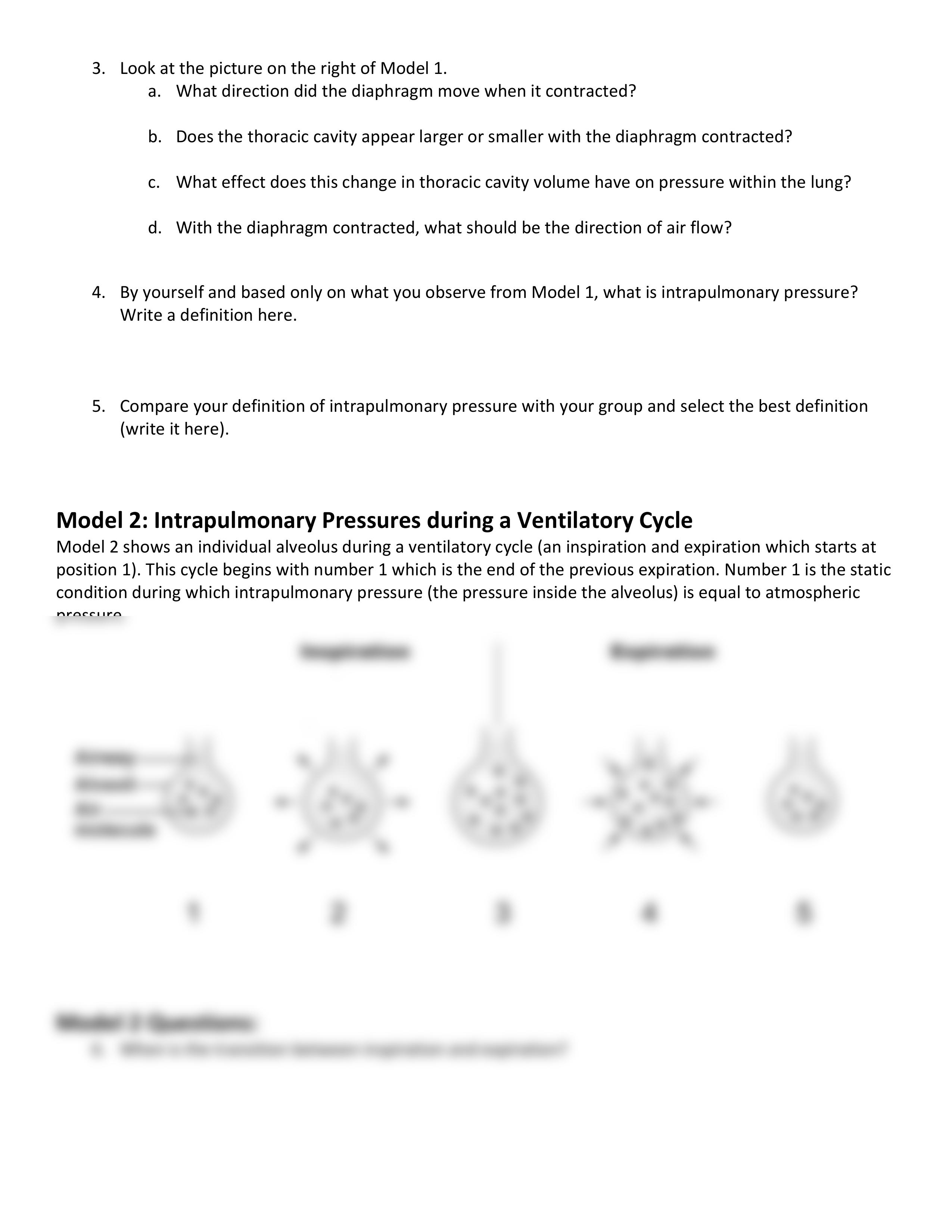 Worksheet4-PulmonaryVentilation_dckvtqkgfh4_page2