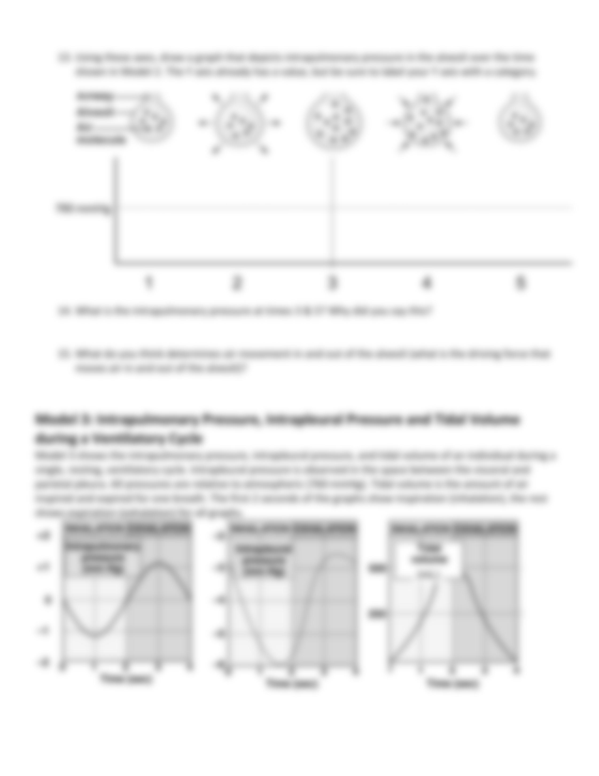 Worksheet4-PulmonaryVentilation_dckvtqkgfh4_page4