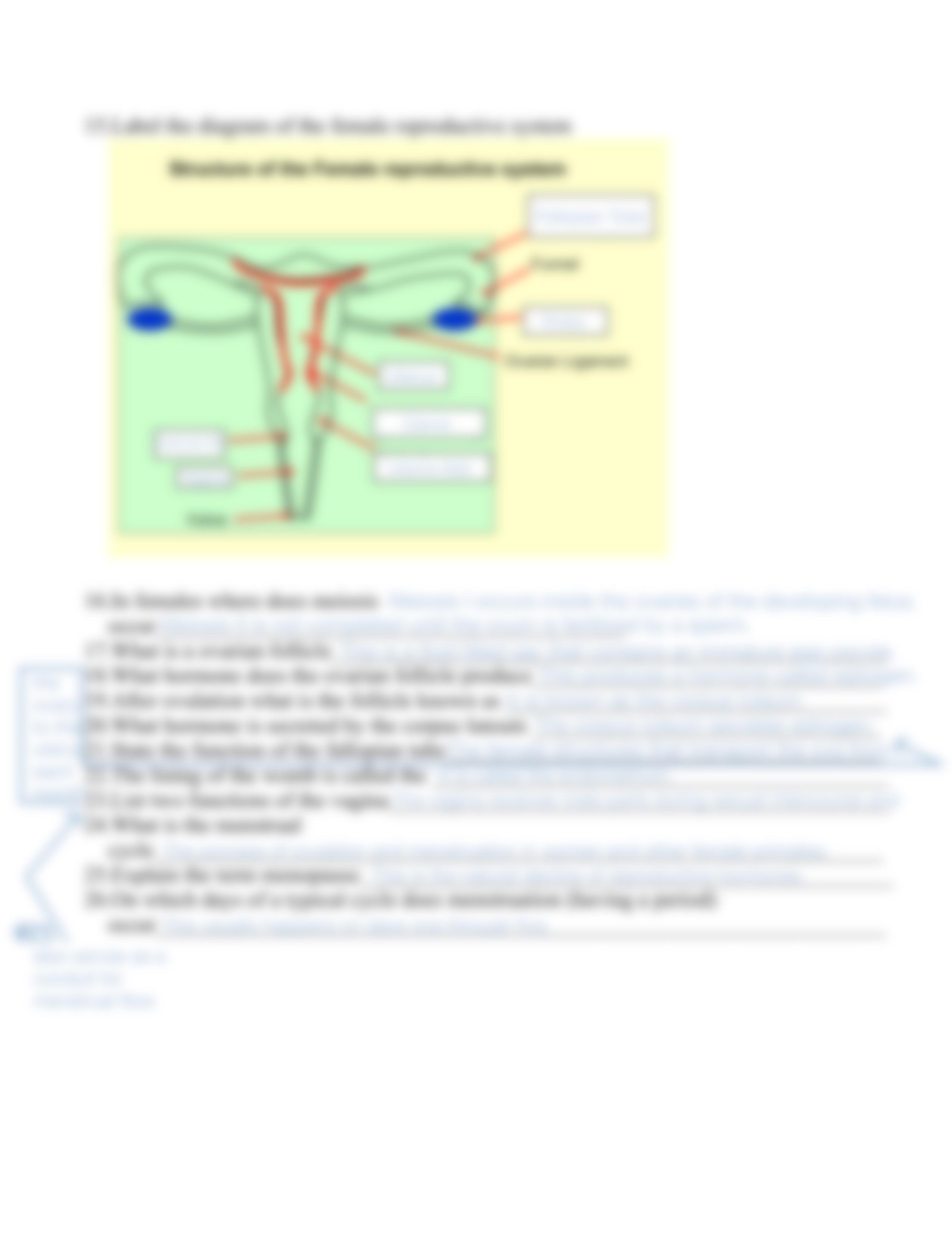 Human_reproduction_worksheet .pdf_dco34iyaeco_page3