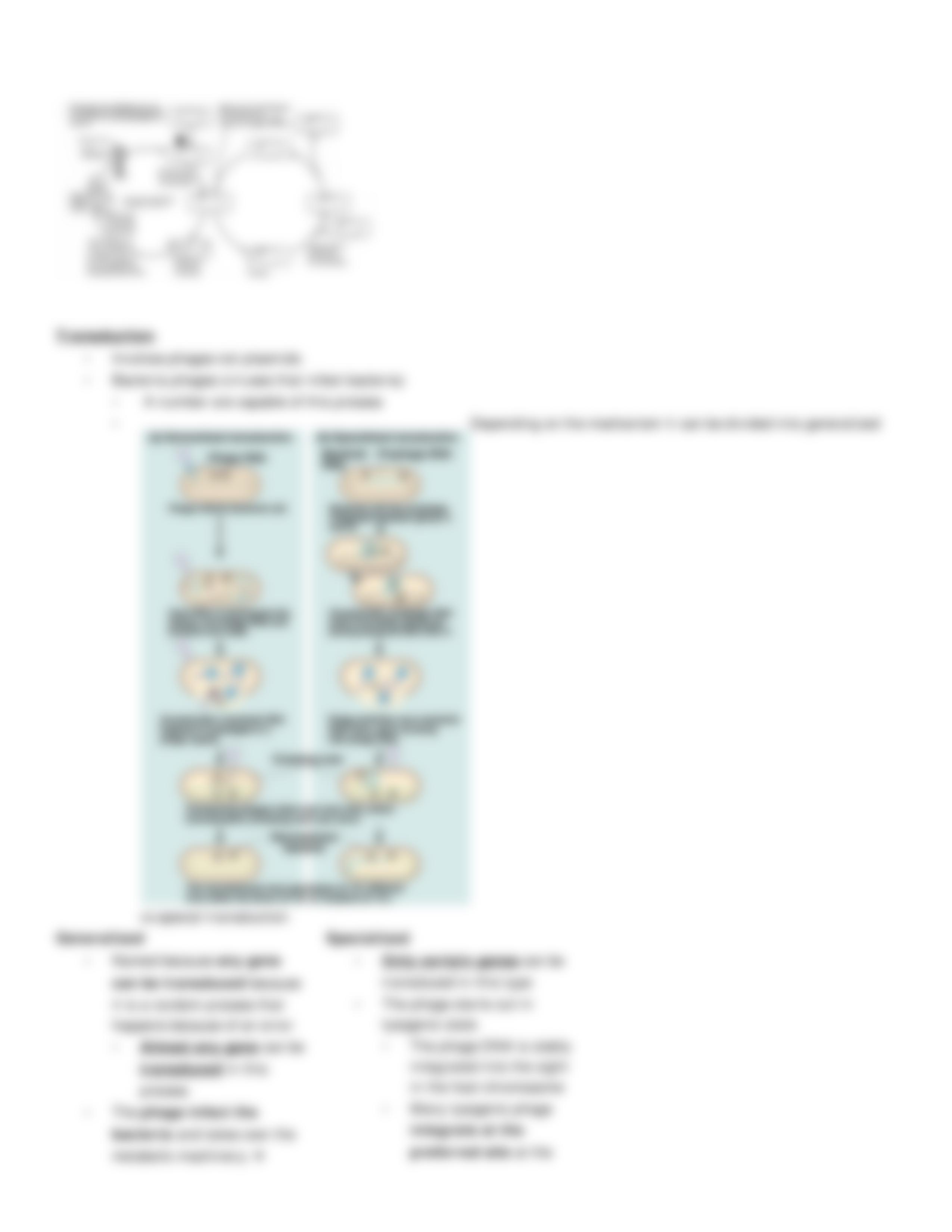 Lecture 02 - Bacterial Genetics and Physiology_dcp4aj9qe63_page5