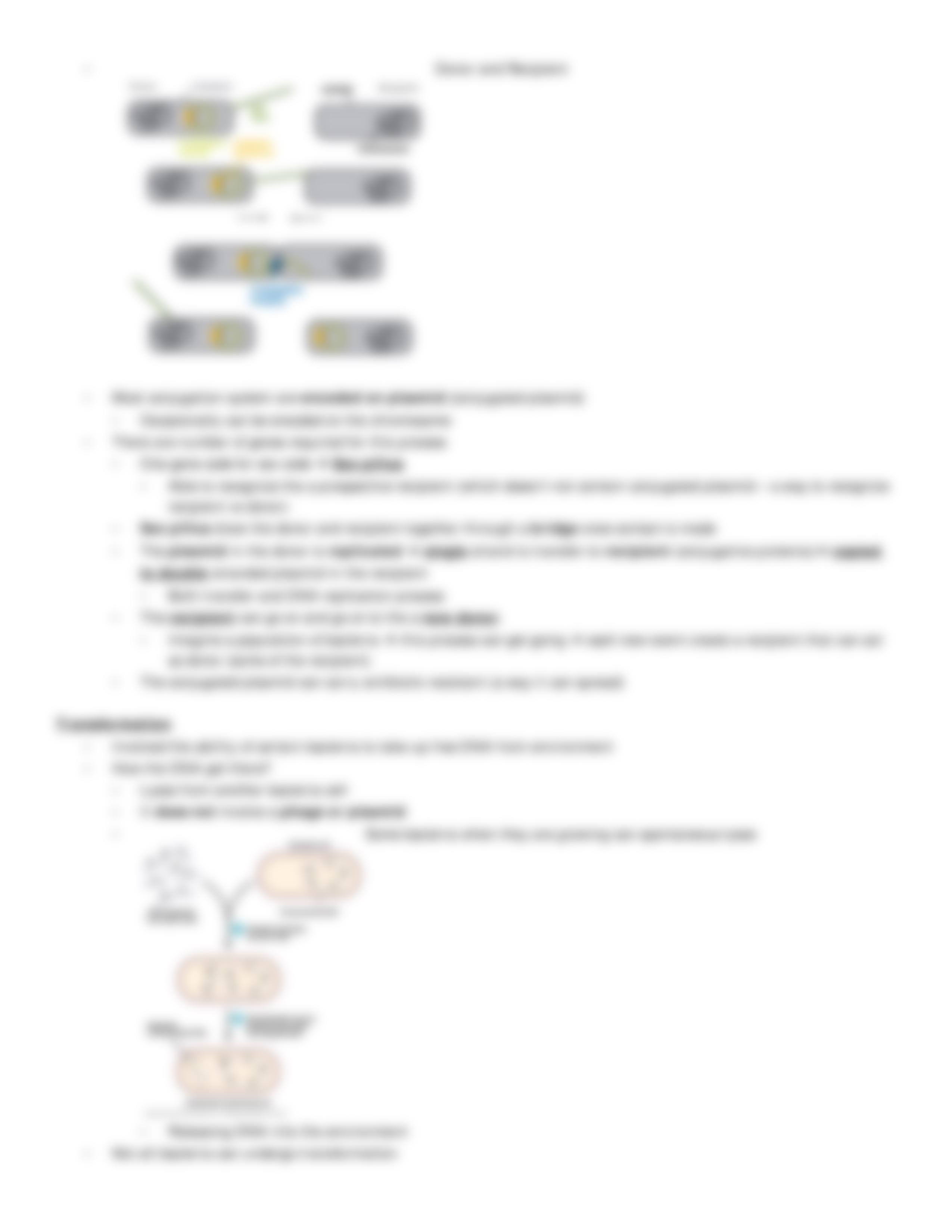 Lecture 02 - Bacterial Genetics and Physiology_dcp4aj9qe63_page3