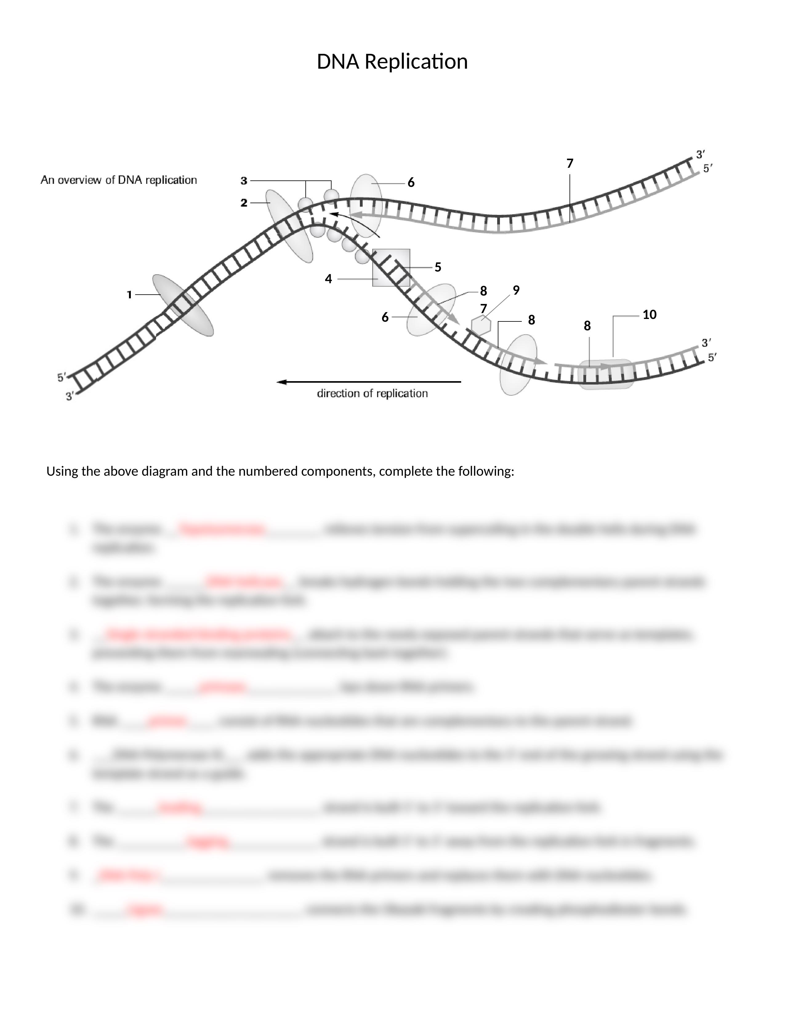 Unit 4 Worksheet 2020[353].docx_dcpmbezrxd4_page2