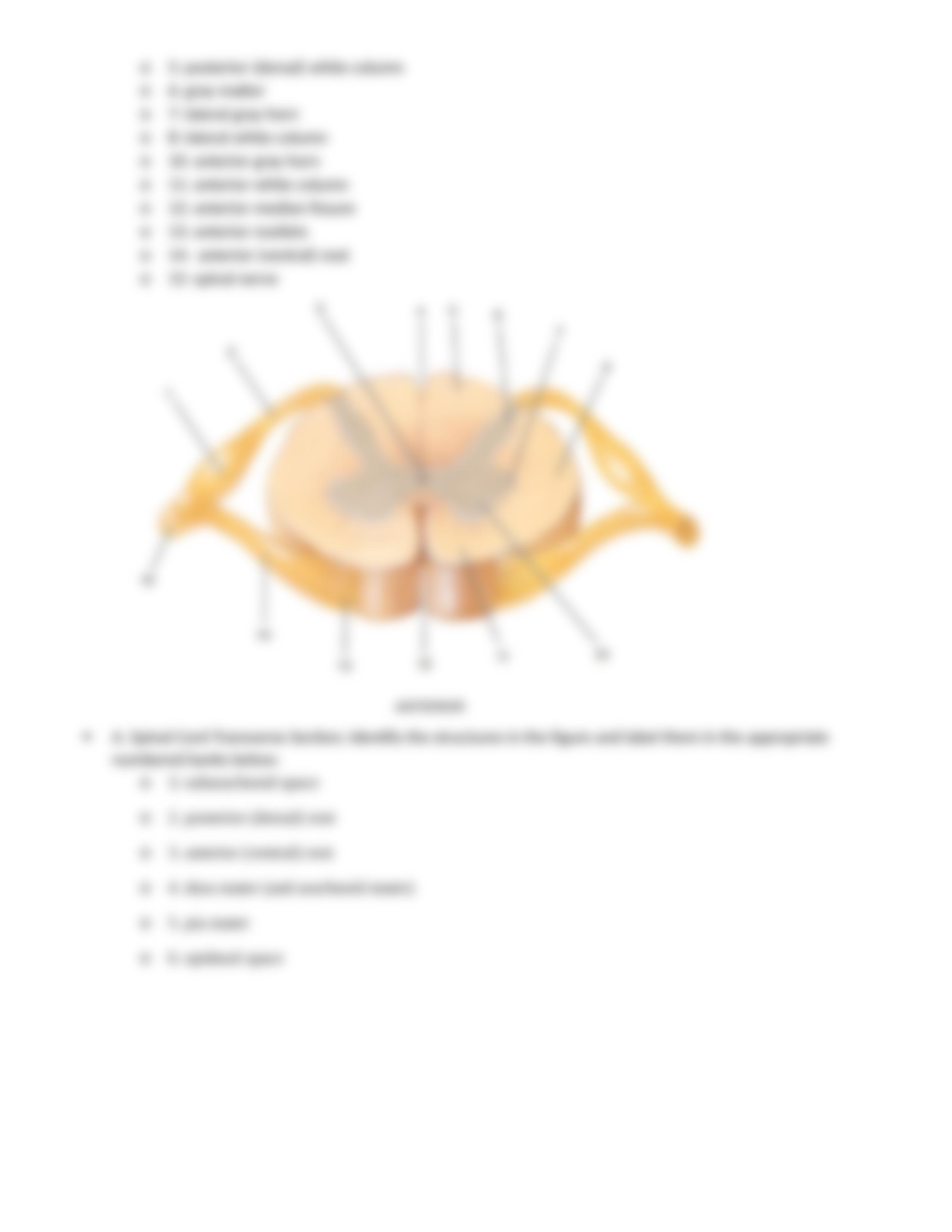 MIDTERM III lab exercise answers.docx_dcr3vao9lpv_page4