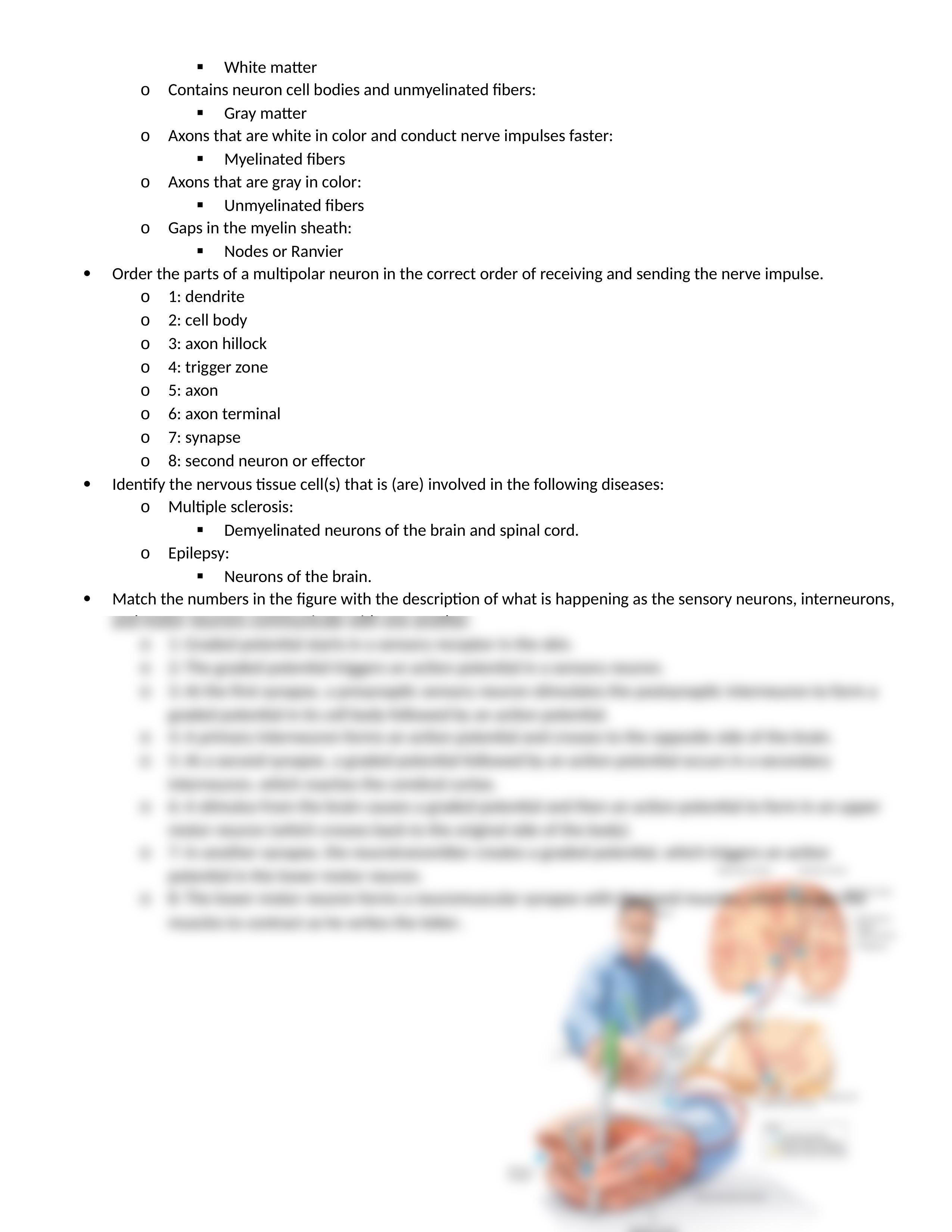 MIDTERM III lab exercise answers.docx_dcr3vao9lpv_page2