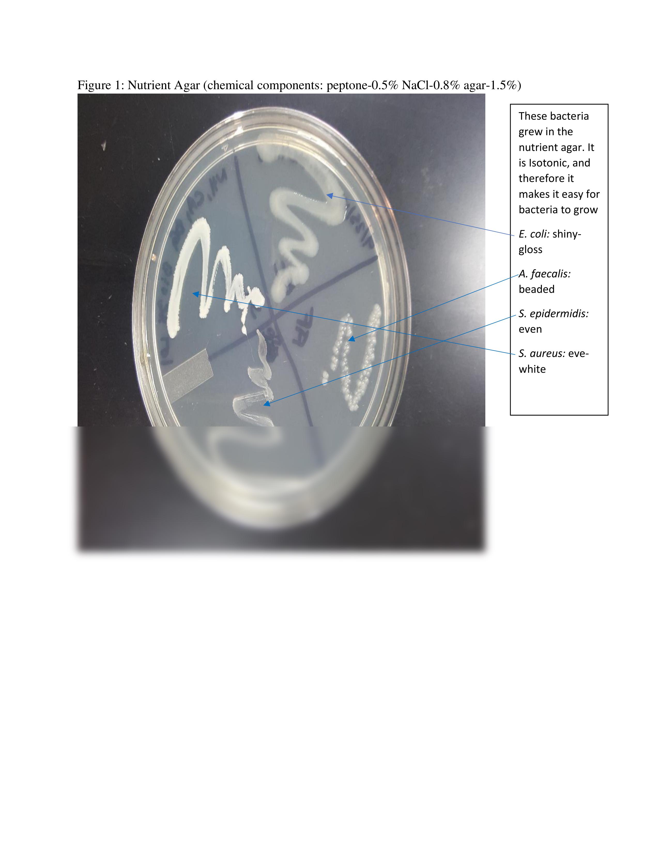 microlab12specialmediaforisolatingbacteria (1).pdf_dcucovglqb1_page2