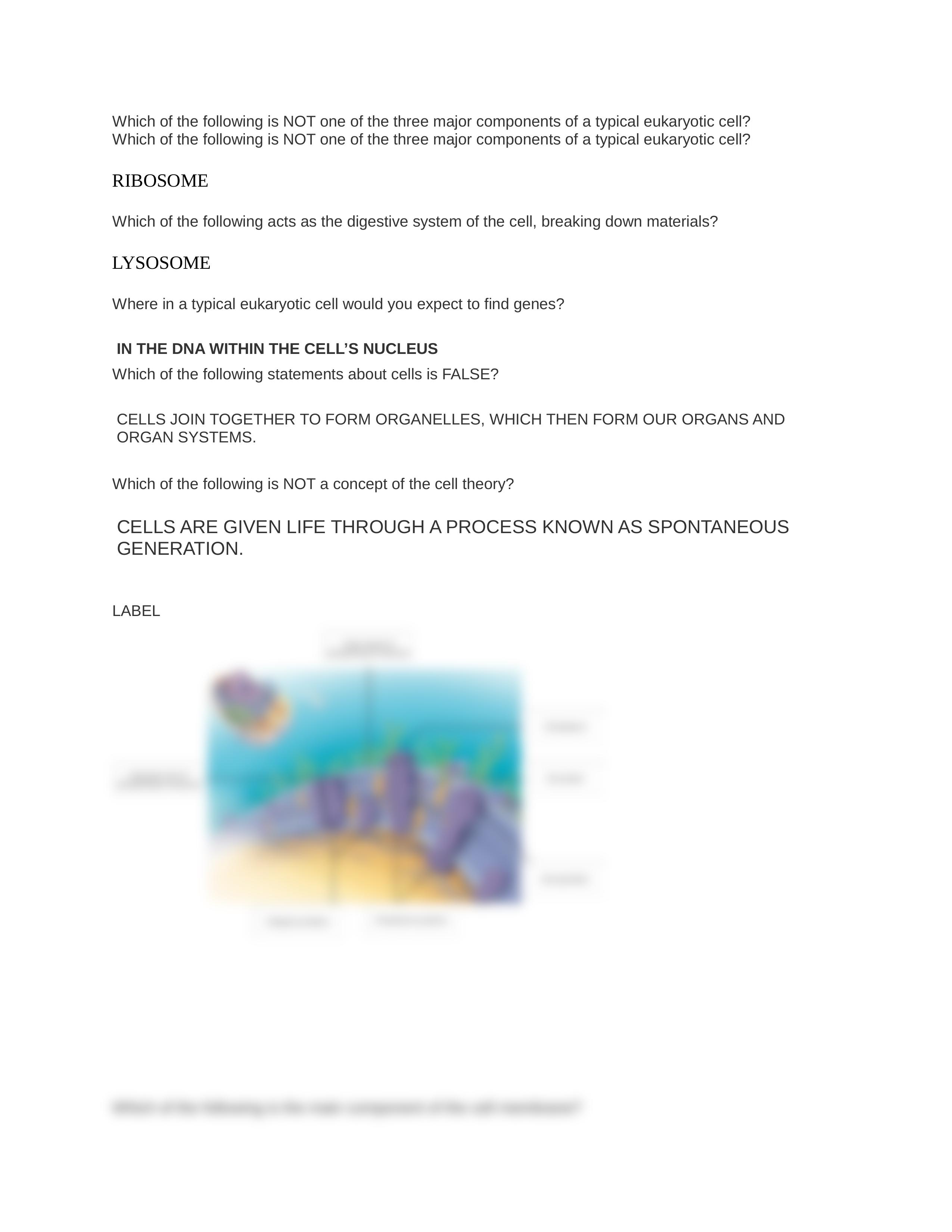 CHAPTER 3 CELL NOTES HW.docx_dcwhxpcr3gv_page2