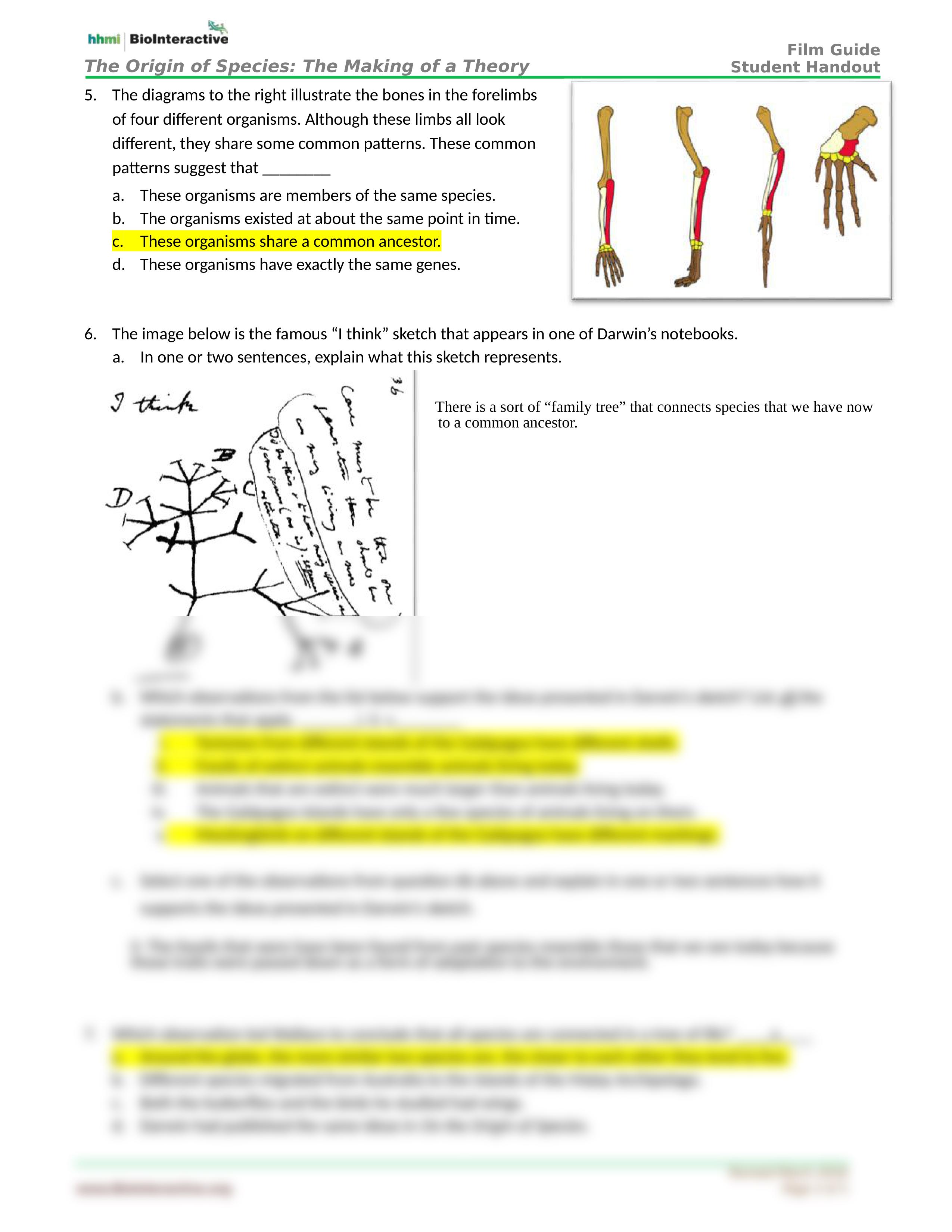 MakingofTheoryStudentHOFilm.docx_dcz1rhp22b1_page2