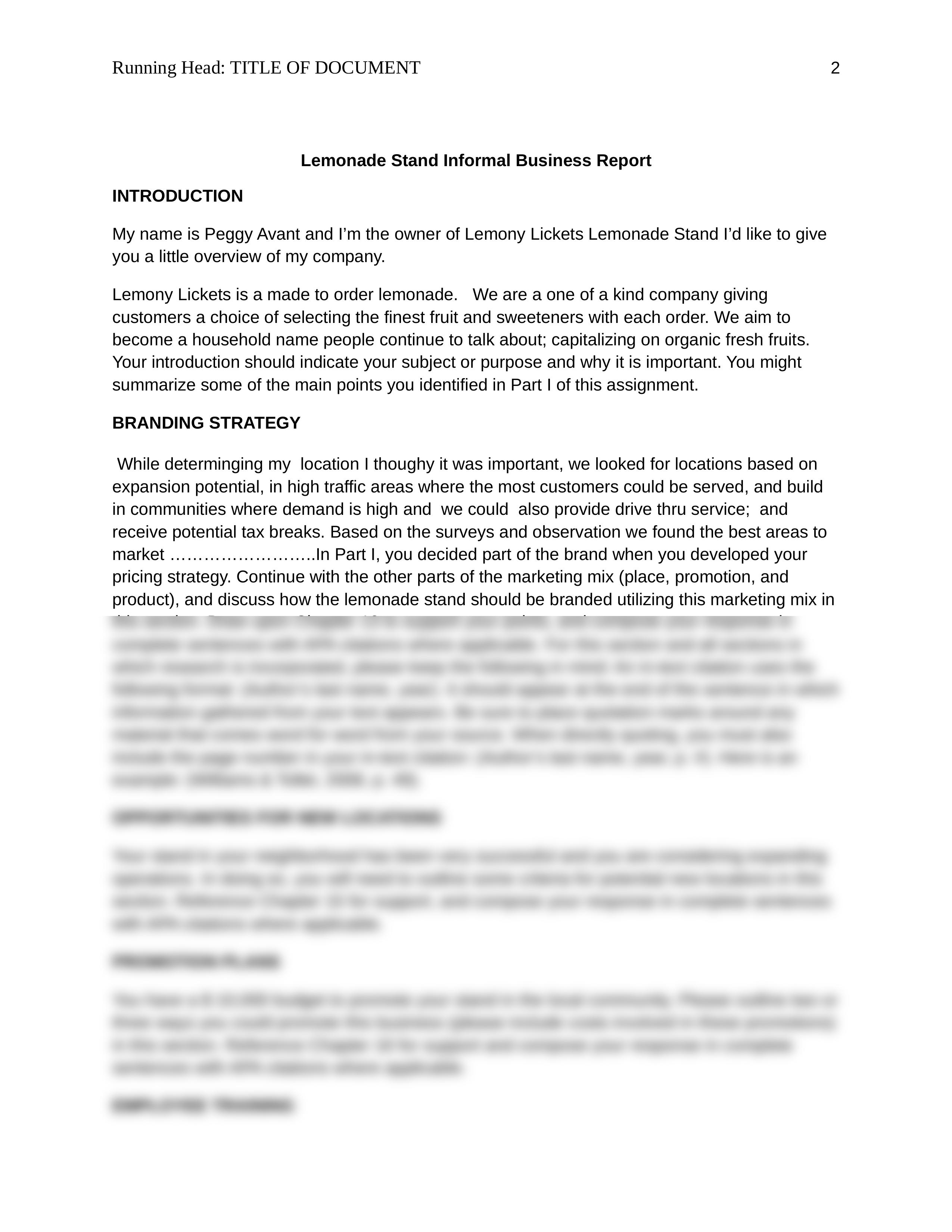 LEMONADE STAND II INFORMAL BUSINESS REPORT_dd0xrekgkmy_page2