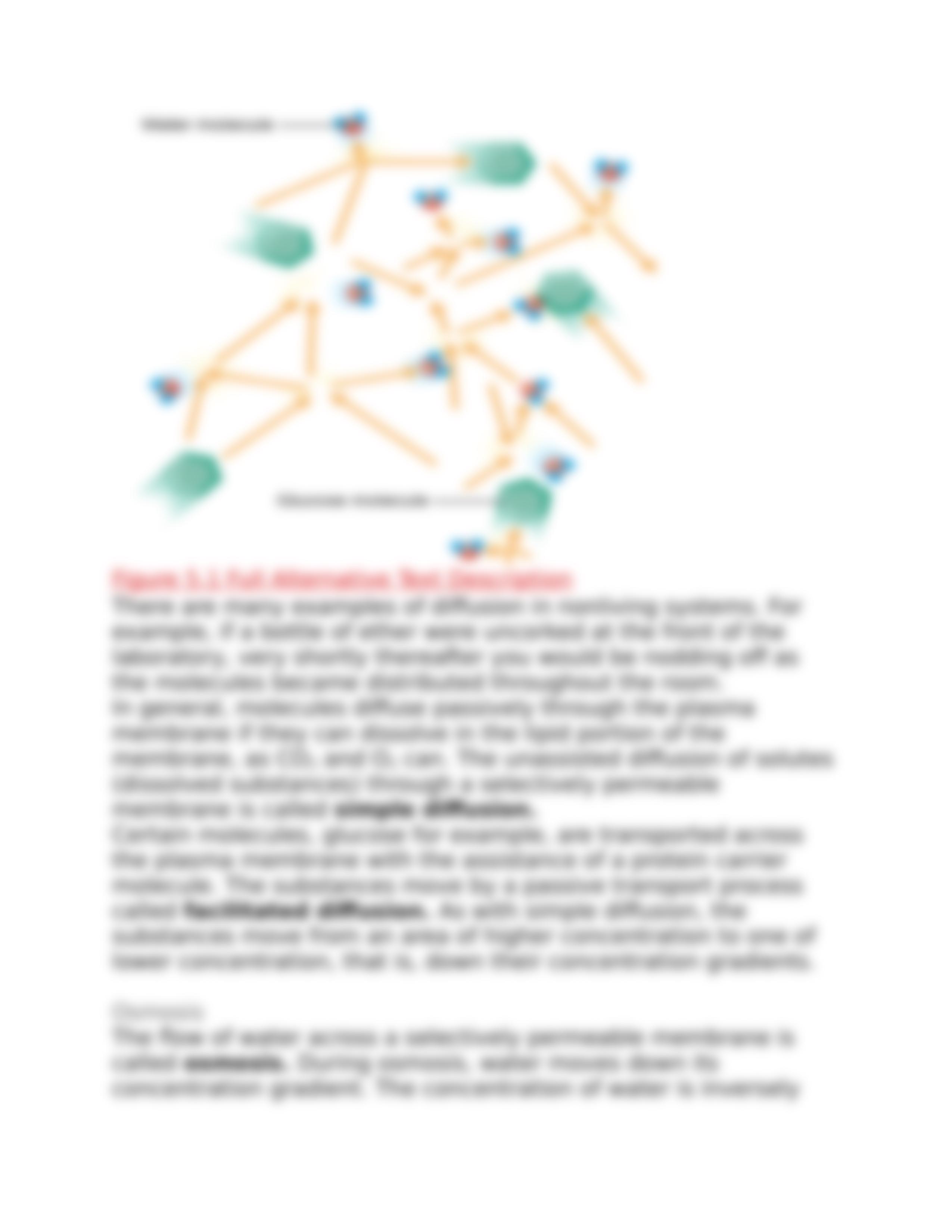 Ex. 5 Cell Transport Mechanisms.docx_dd53zmvbz56_page3