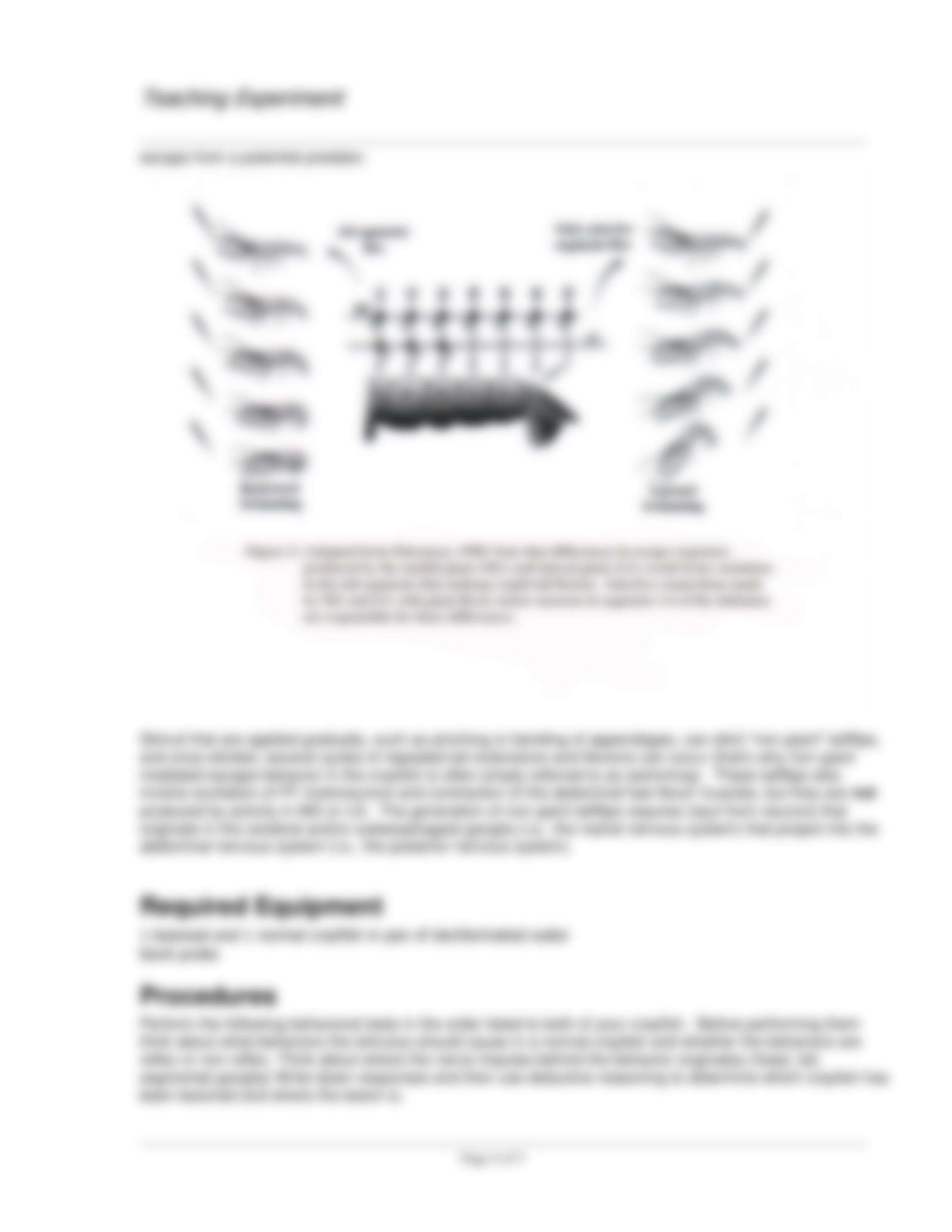 crayfishlab (1).pdf_dd5hlyx7cpq_page4