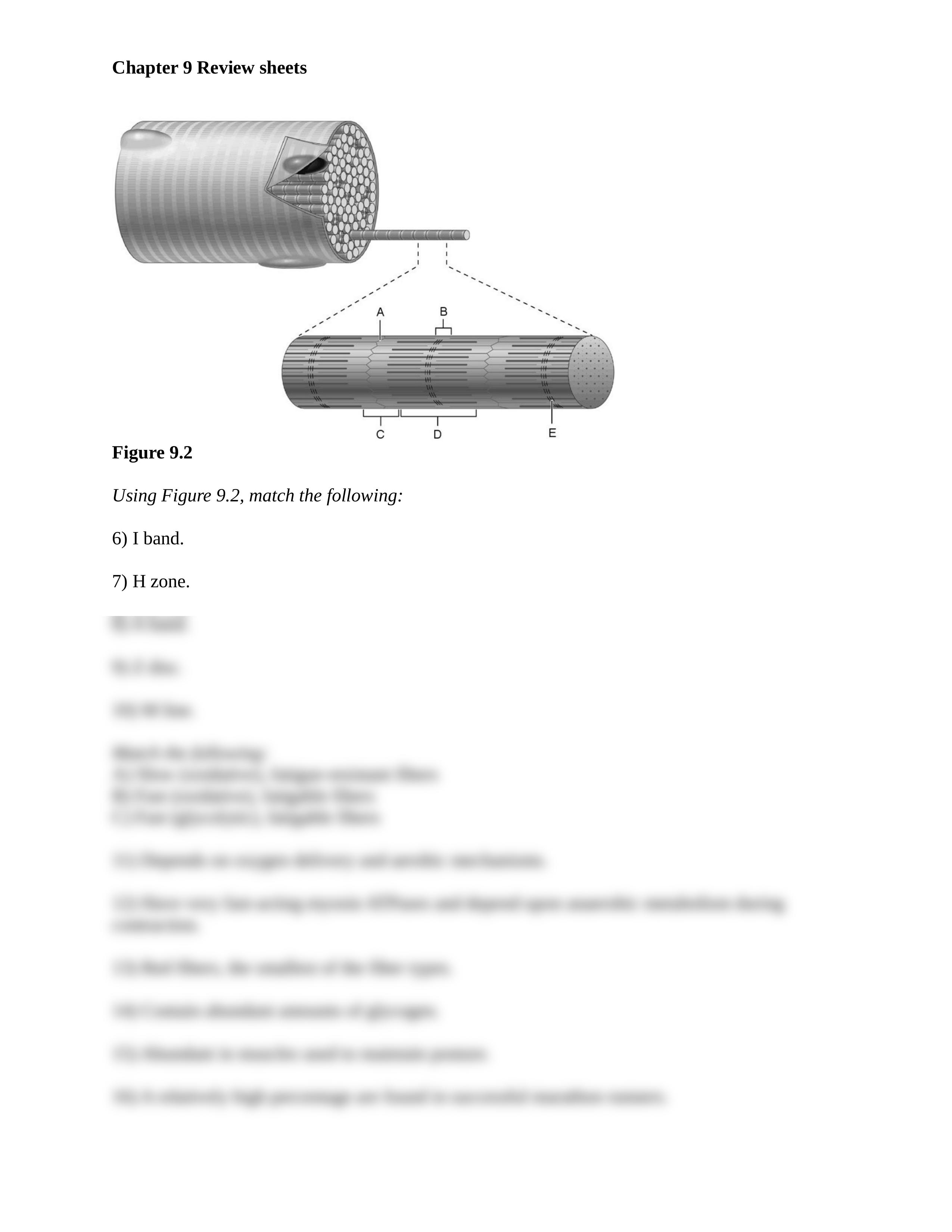 ch_09_worksheets_dd6vv4kh51h_page2