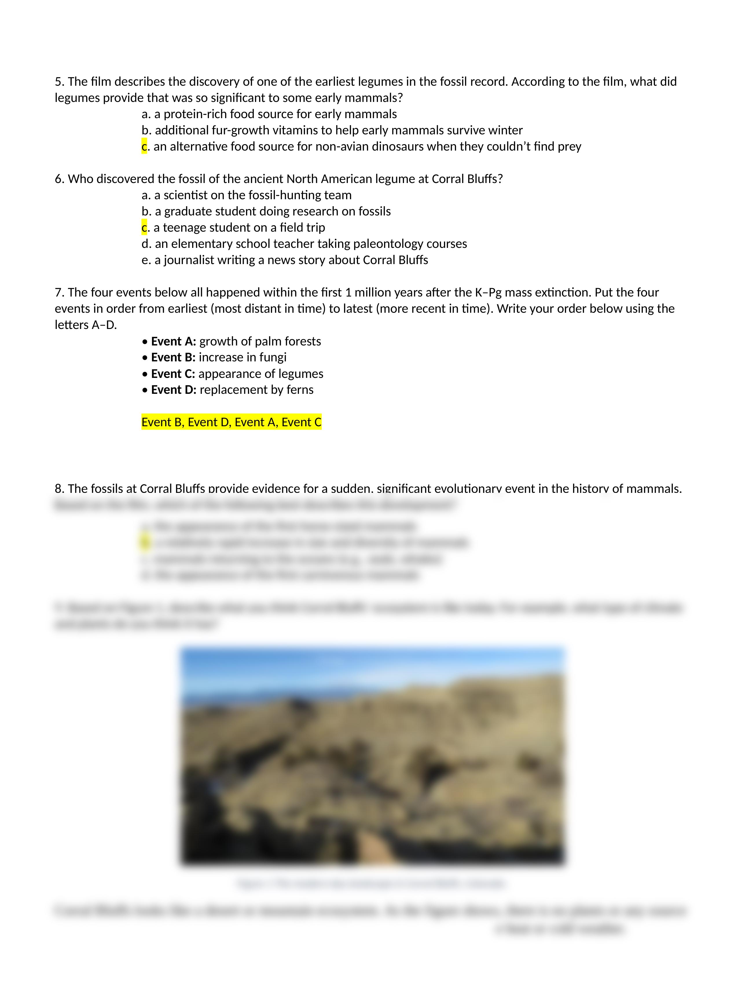 Out of the Ashes Worksheet (1).docx_ddfy42lubbj_page2