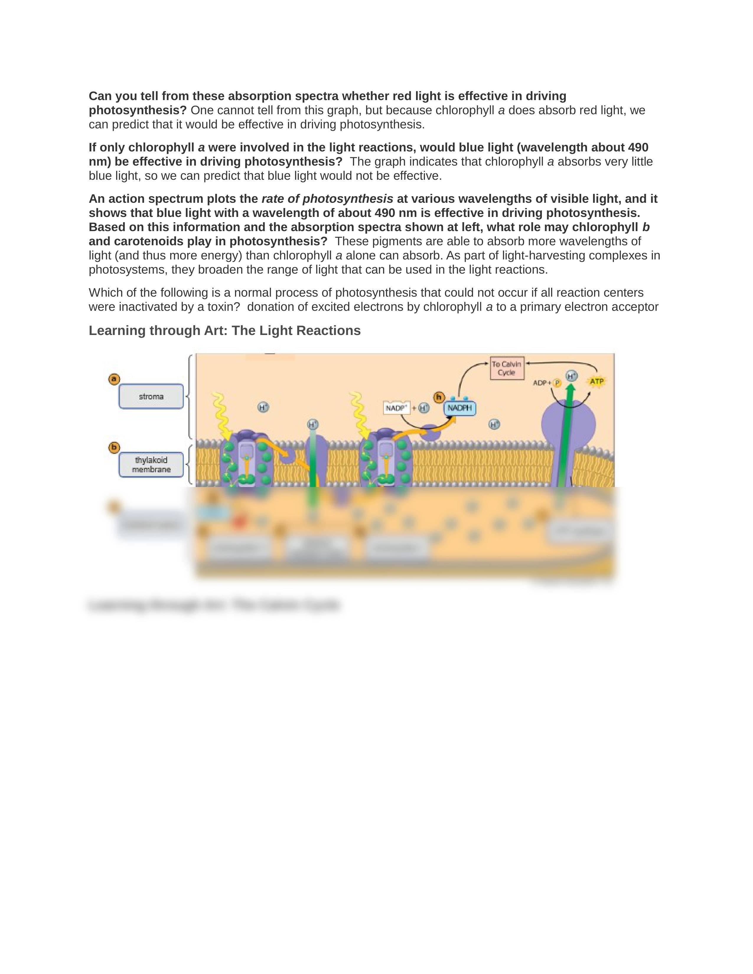 Chapter 7.docx_ddj3xsxgq90_page2