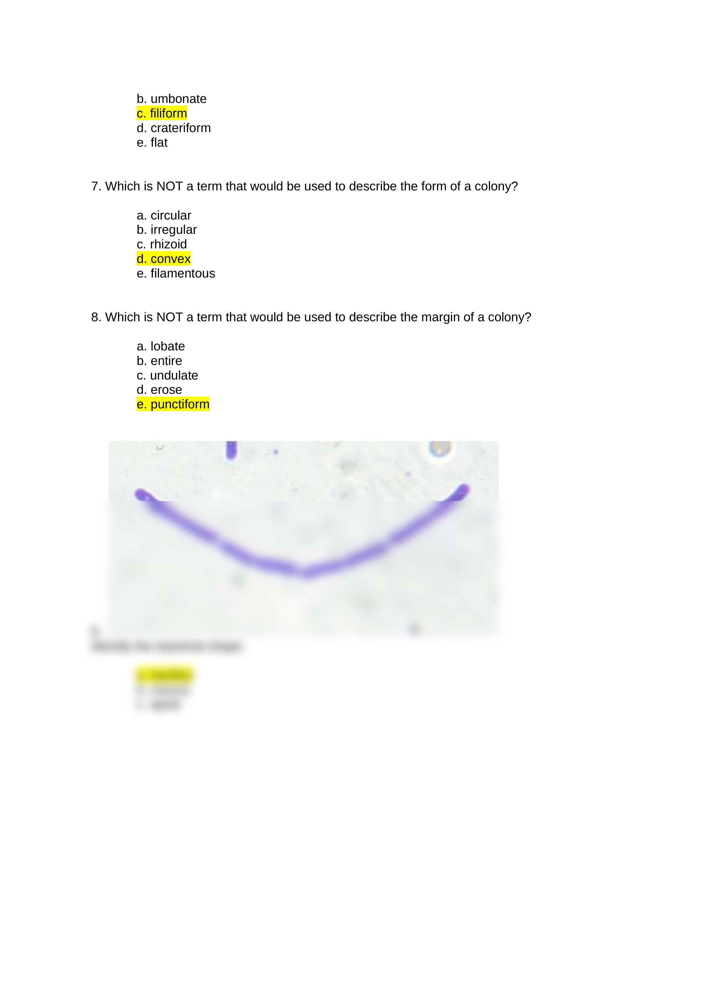 Bacterial Morphology Virtual Lab QUIZ.docx_ddsca9ncp63_page2