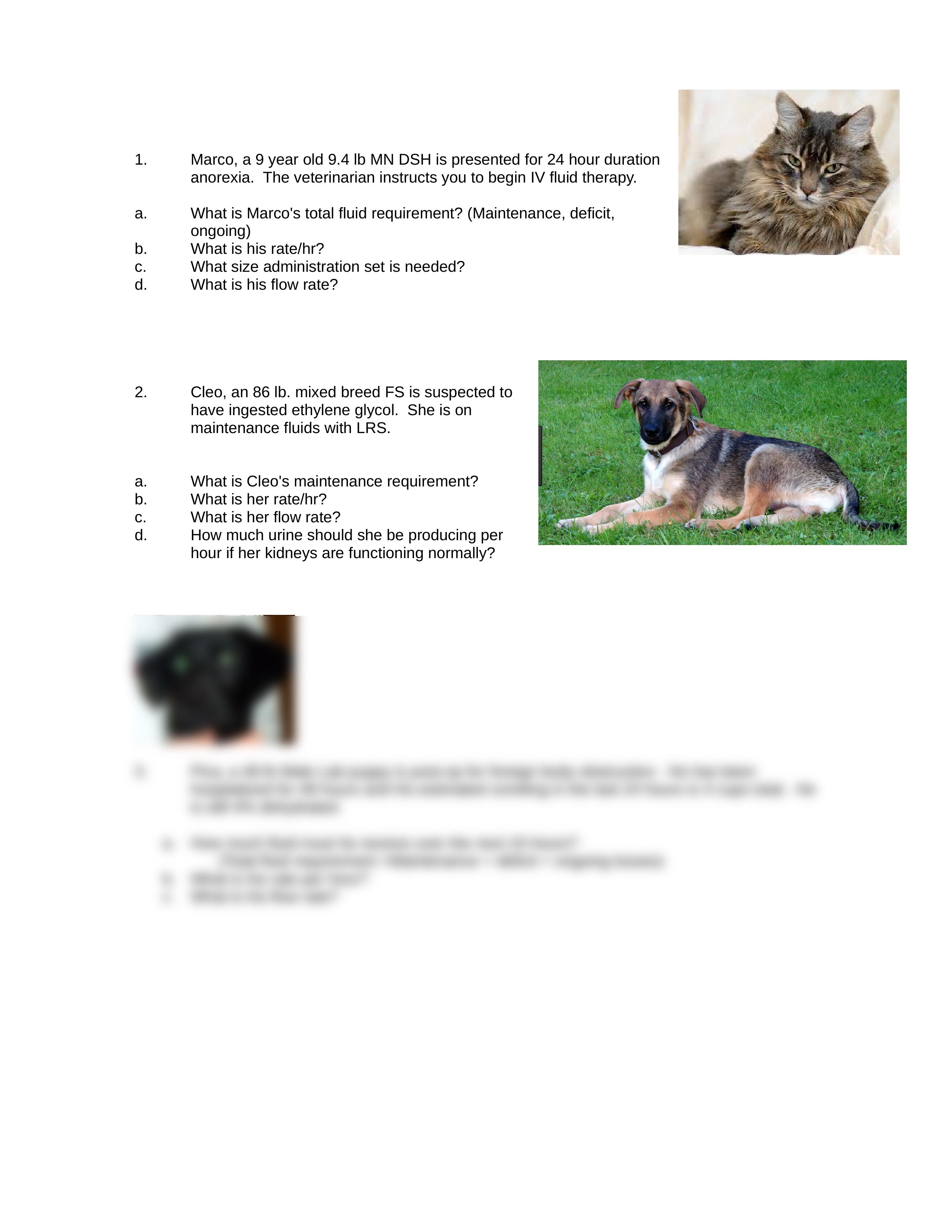 Assignment 8.2.docx_ddu4appu1jl_page2