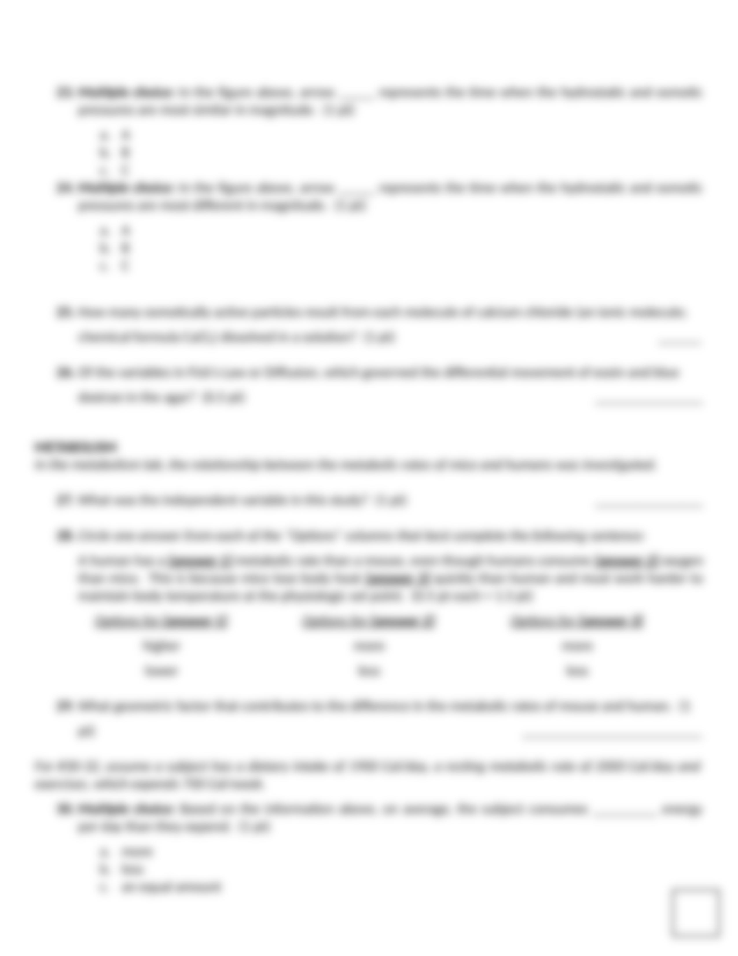 Practice Exam 1.docx_ddwhkxoazpl_page5