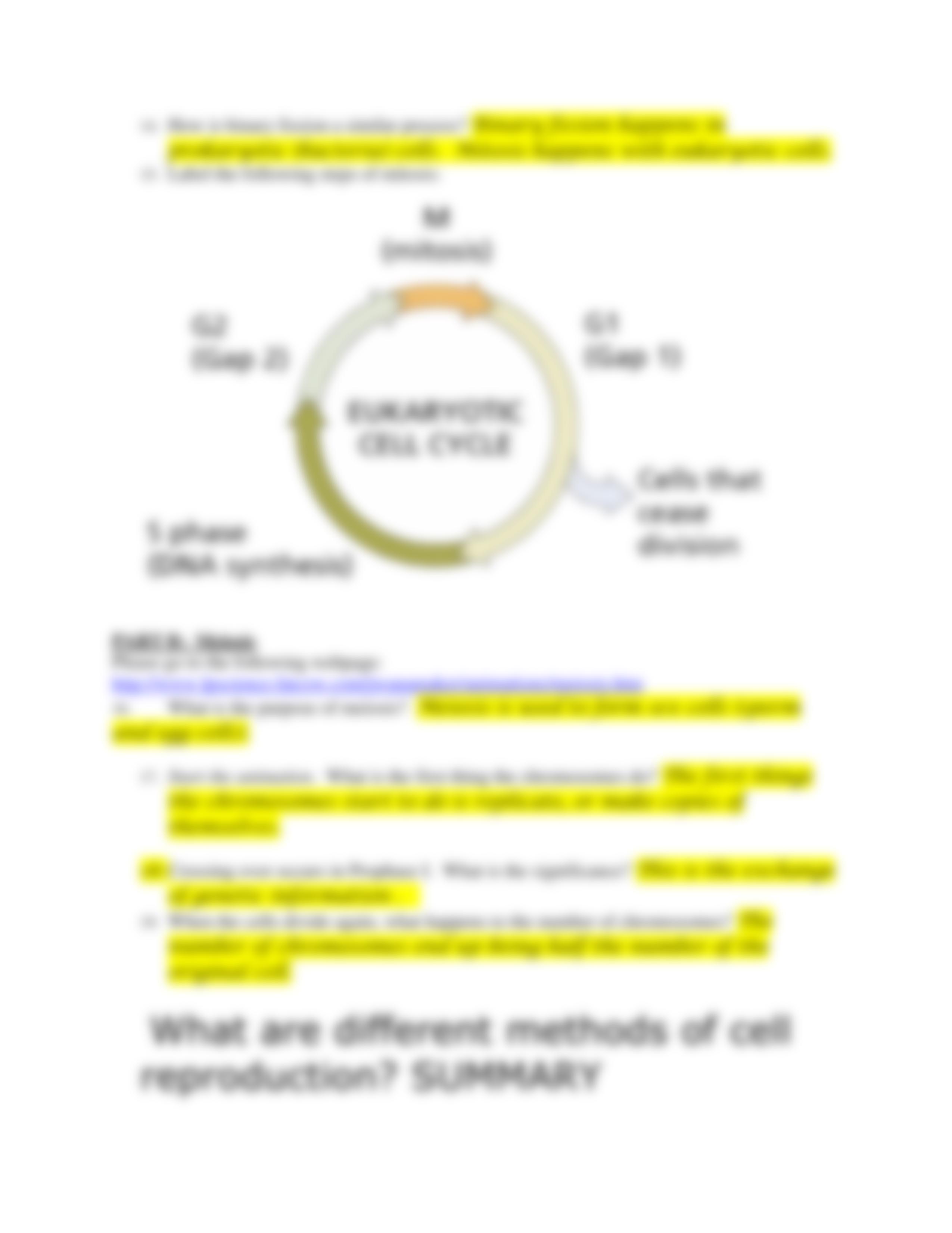 Mitosis_Meiosis_Webquest_Answers_ddwwj36d3ov_page3