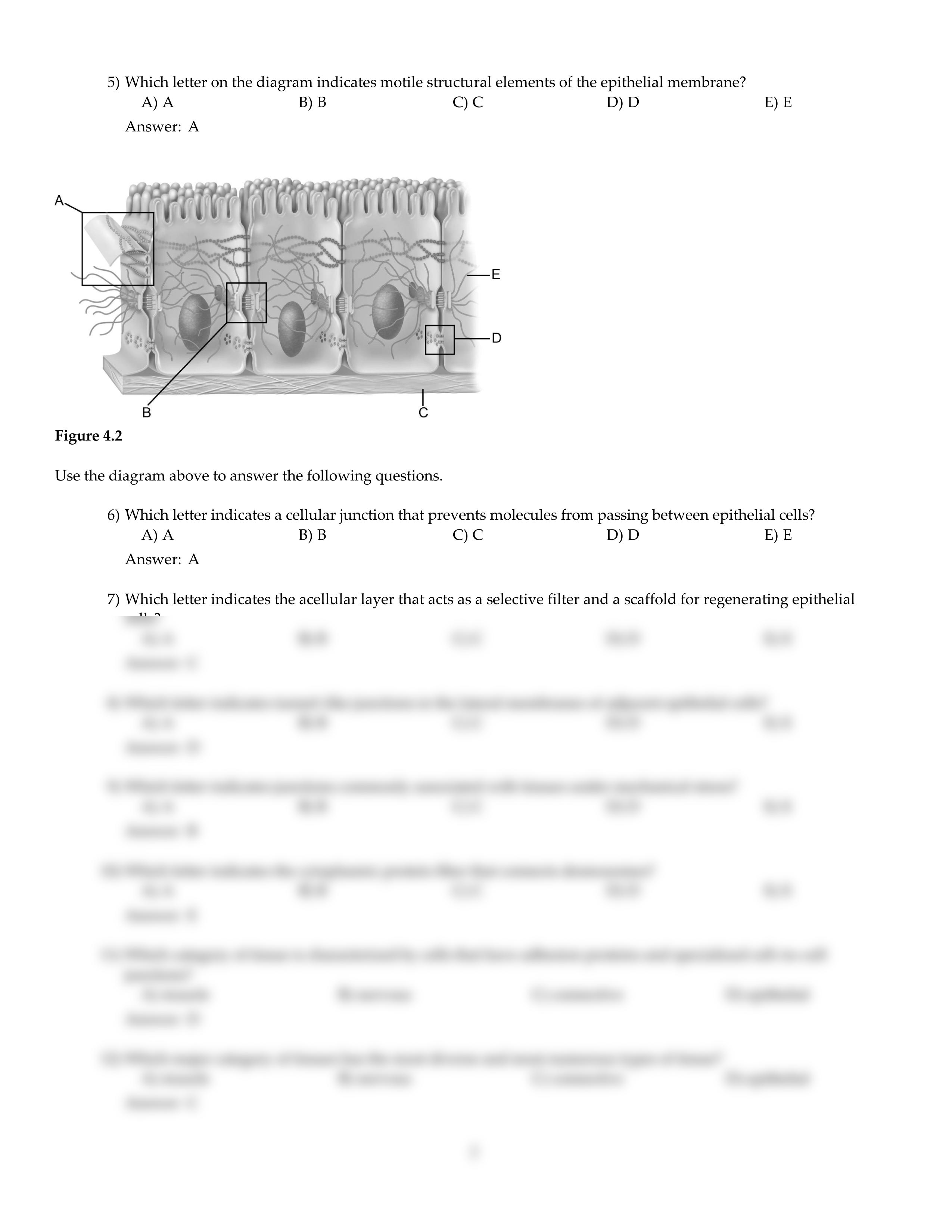 CH04.pdf_ddyndn1b3kz_page2