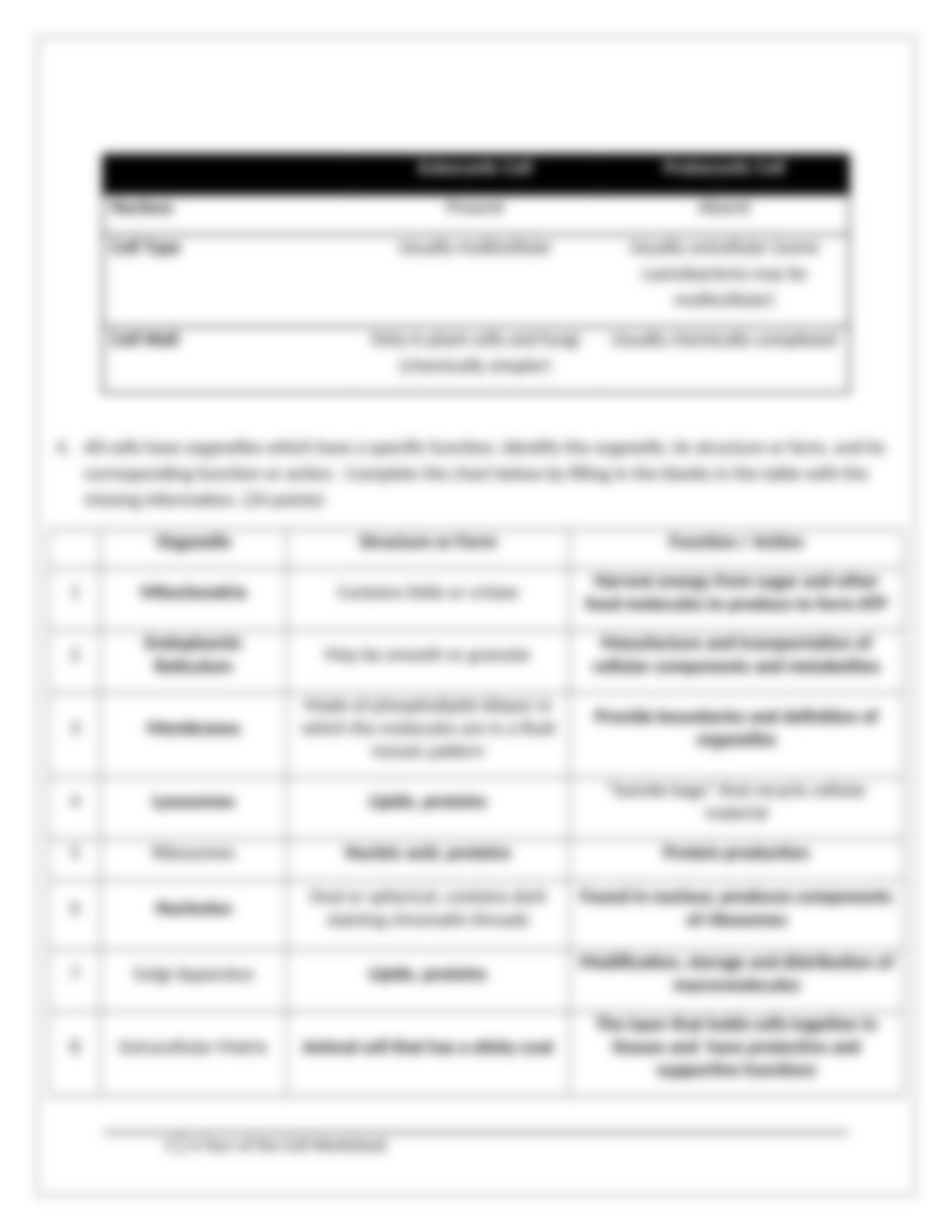 Assignment - Tour of the Cell Worksheet_ddzvqj0dk0p_page3