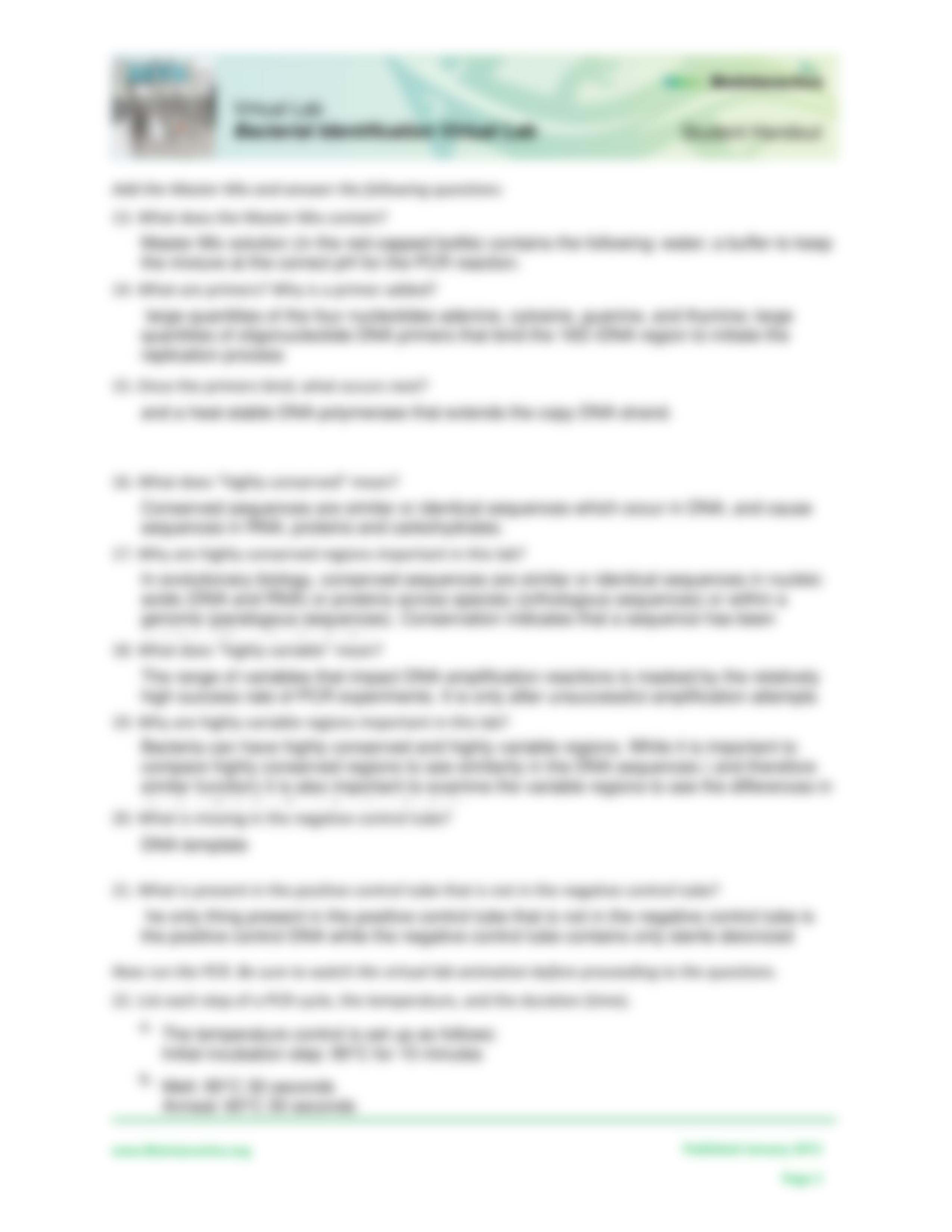 Bacterial-Identification-Lab-Worksheet-Student (2).pdf_de4ufeuy2o2_page3