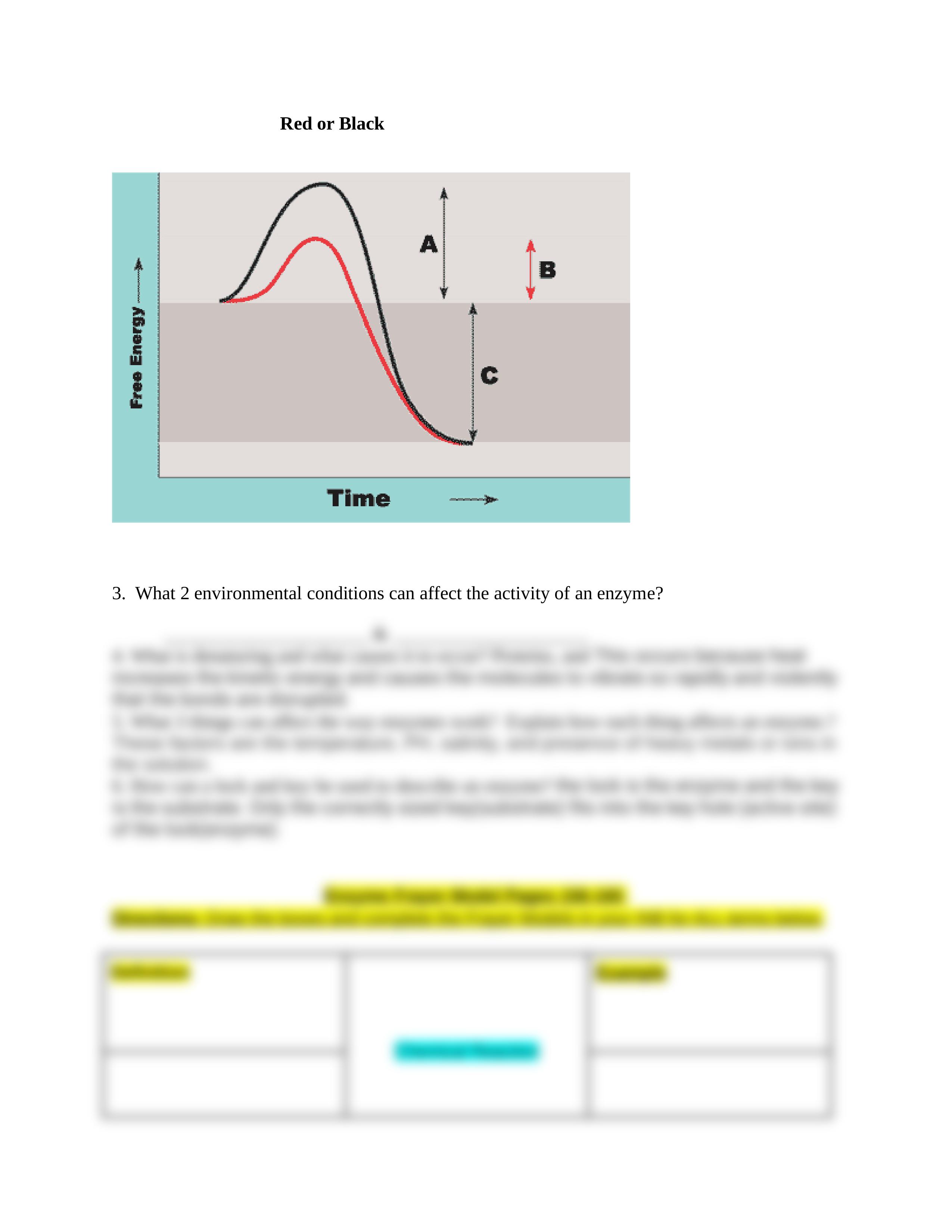 Copy of Enzymes Guide Assignment.docx_de5sxqwcb9z_page2