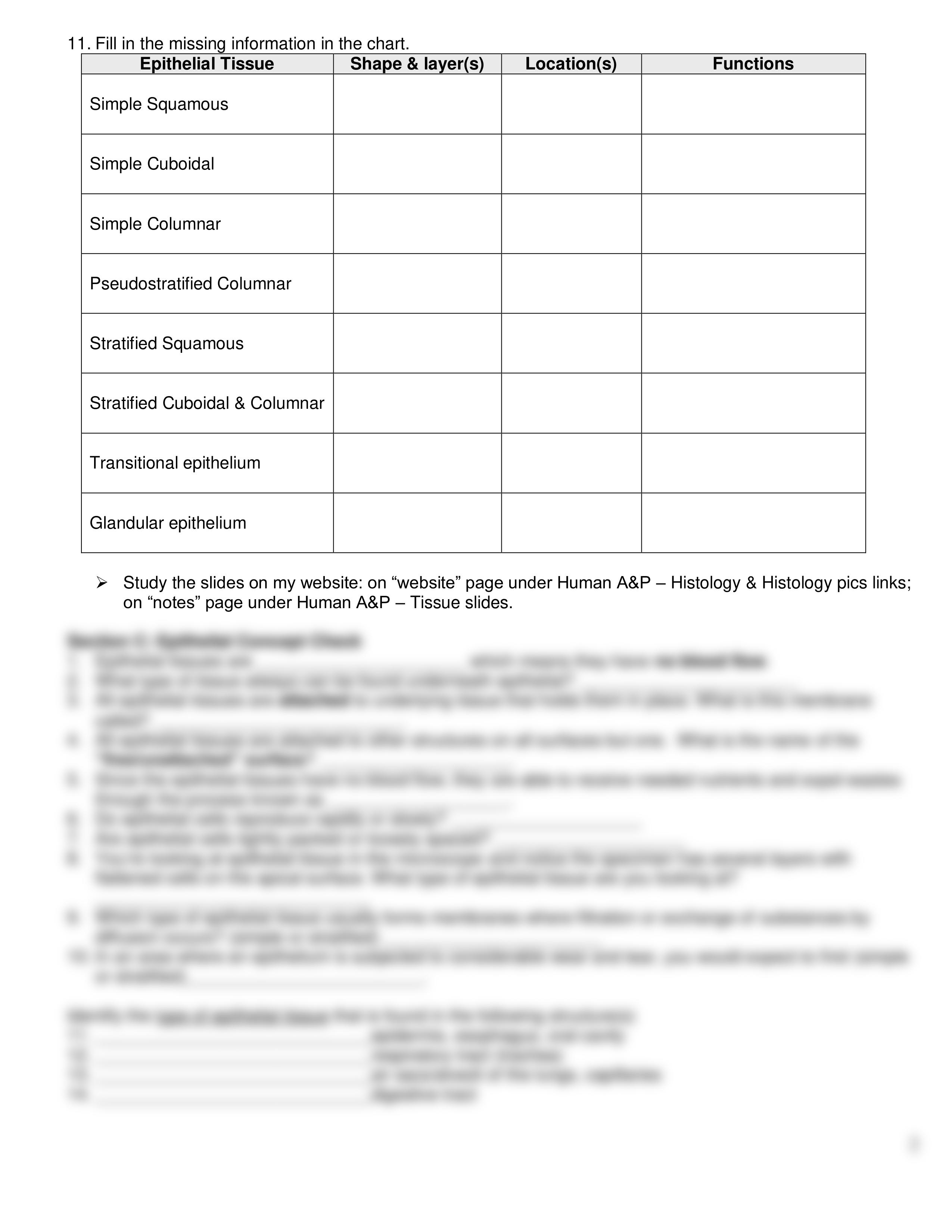 histology worksheet_de6i40napyu_page2