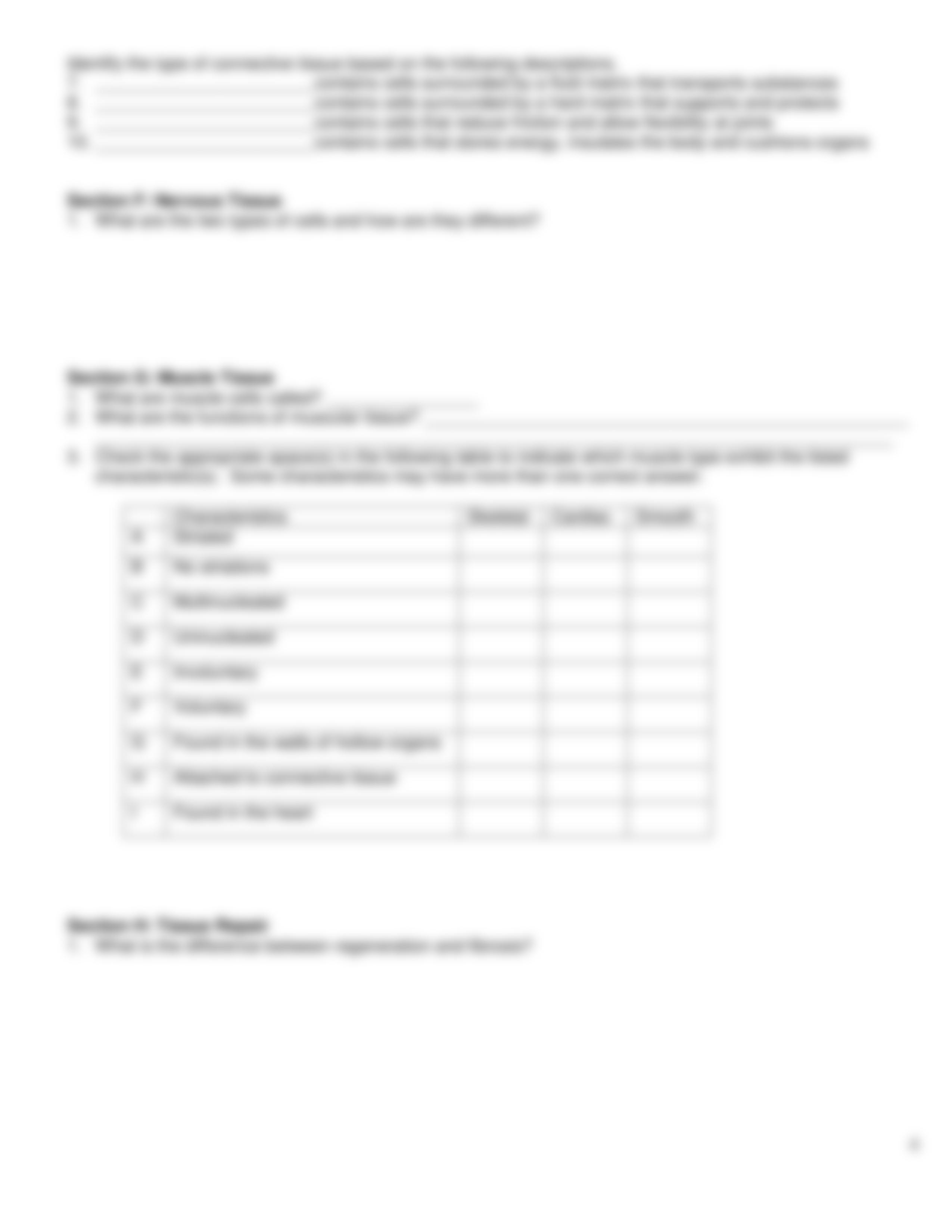 histology worksheet_de6i40napyu_page4