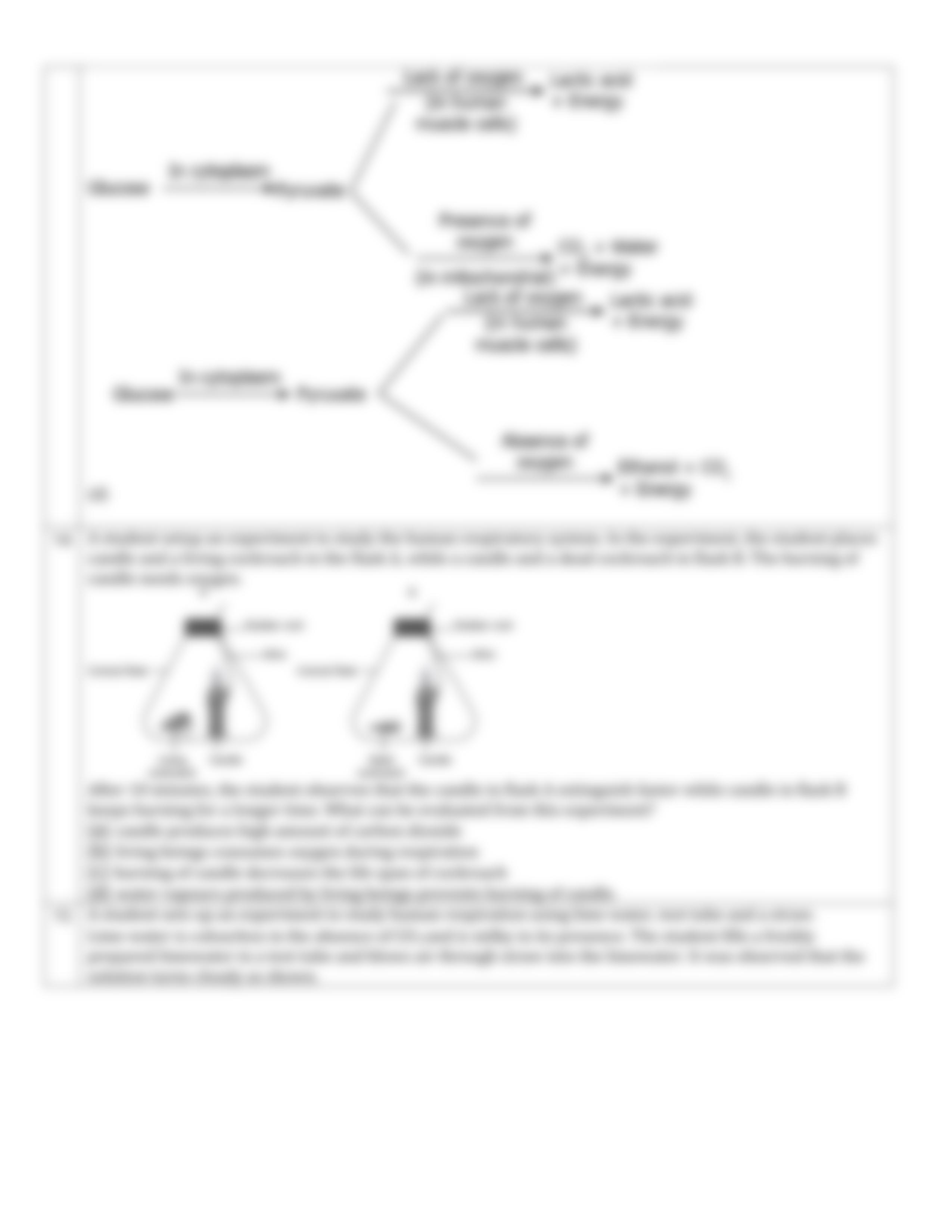 Life Processes-MCQ TERM.pdf_de8eeuthz2g_page5