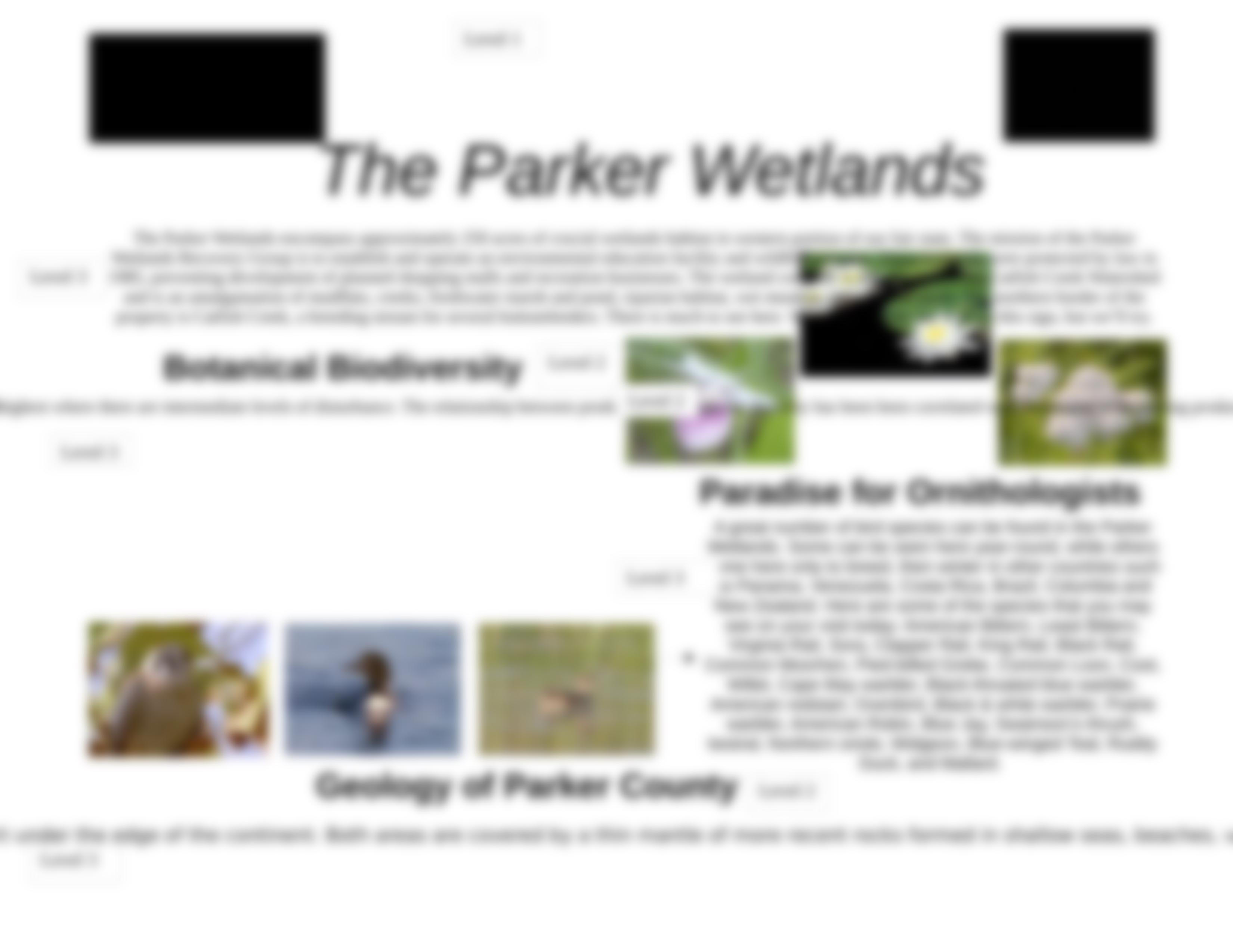 Quiz #1_Parker Wetlands-3.docx_decjva03clg_page2