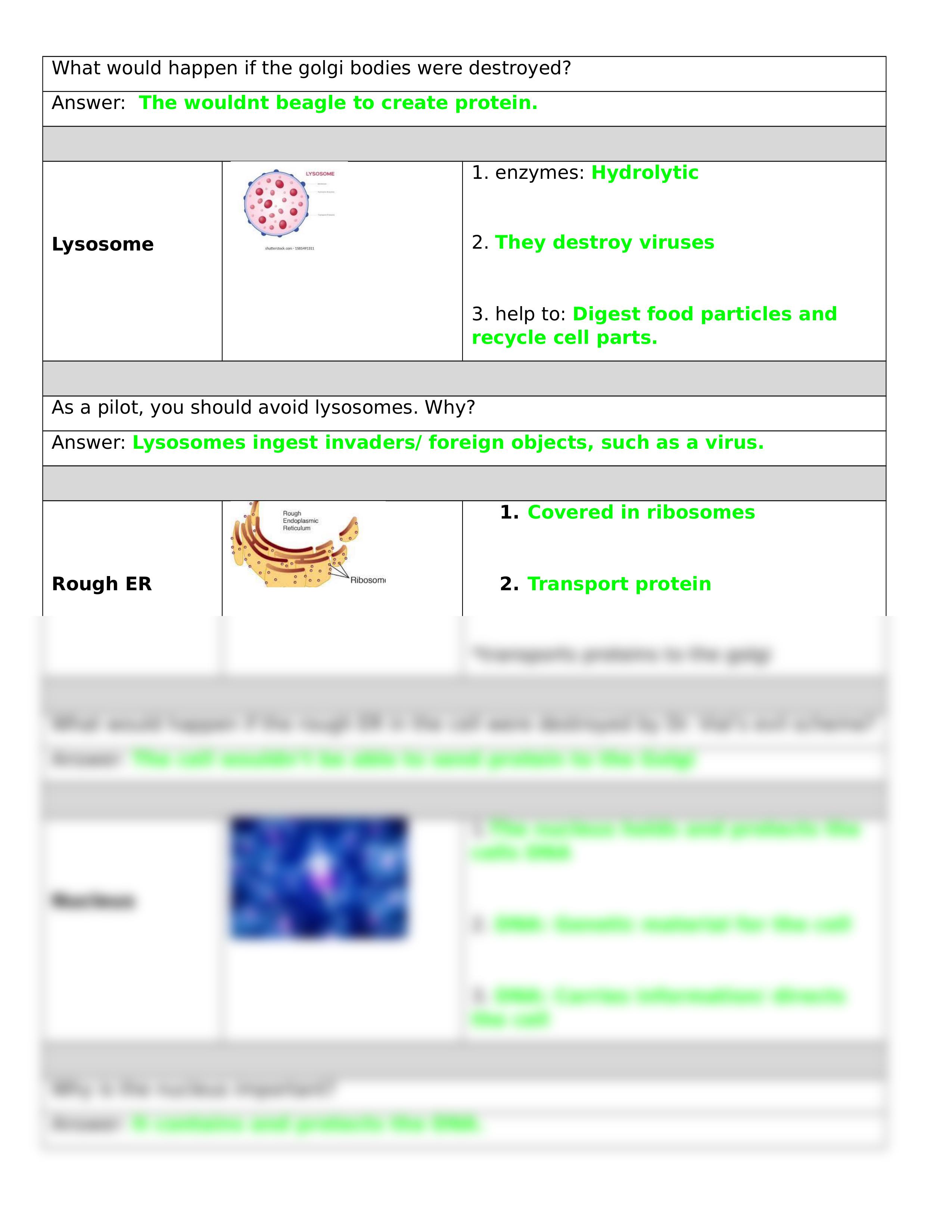 Exploring the Cell with BioMan.docx_dekkredi98k_page2