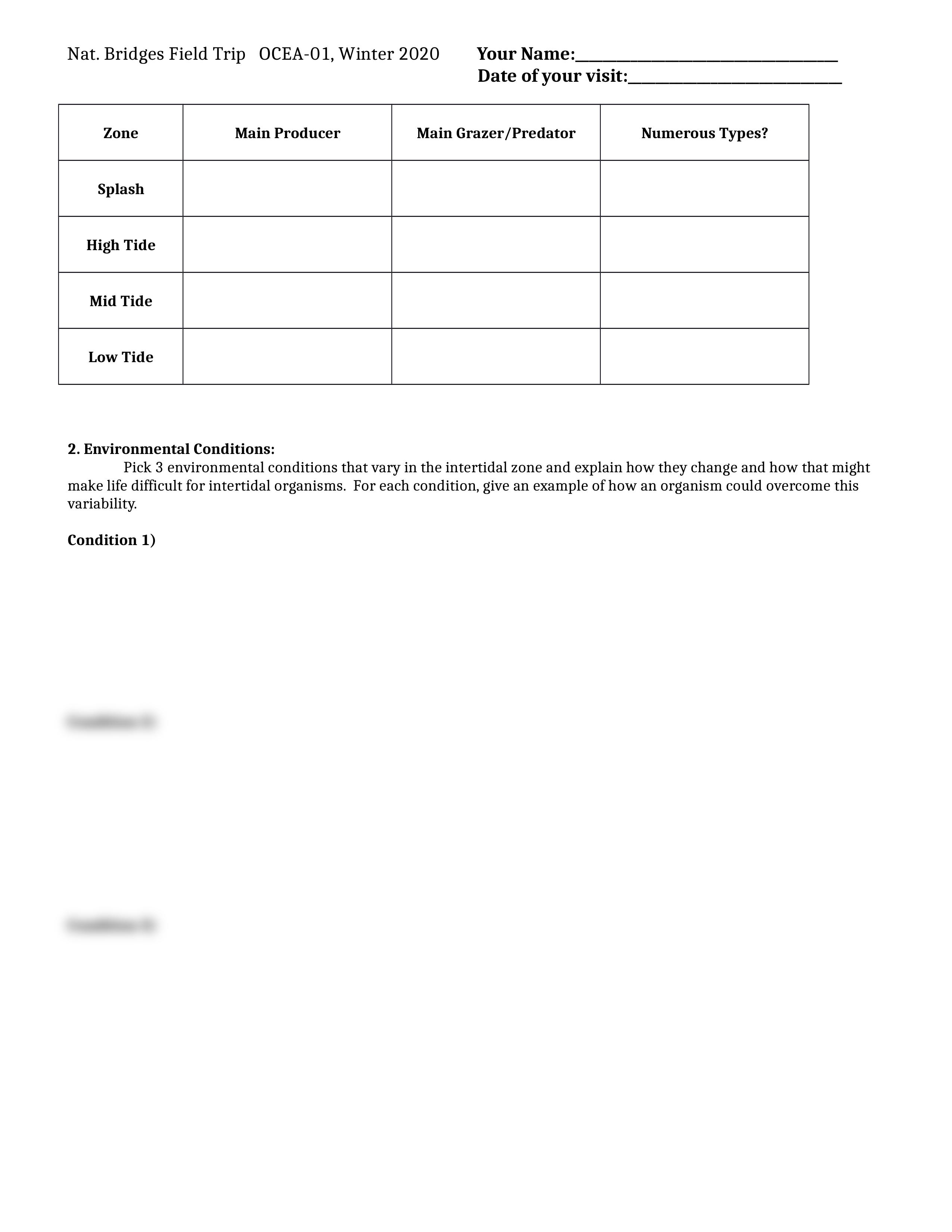 Nat_Bridges_Worksheet_W20.docx_df07c0un9xp_page2