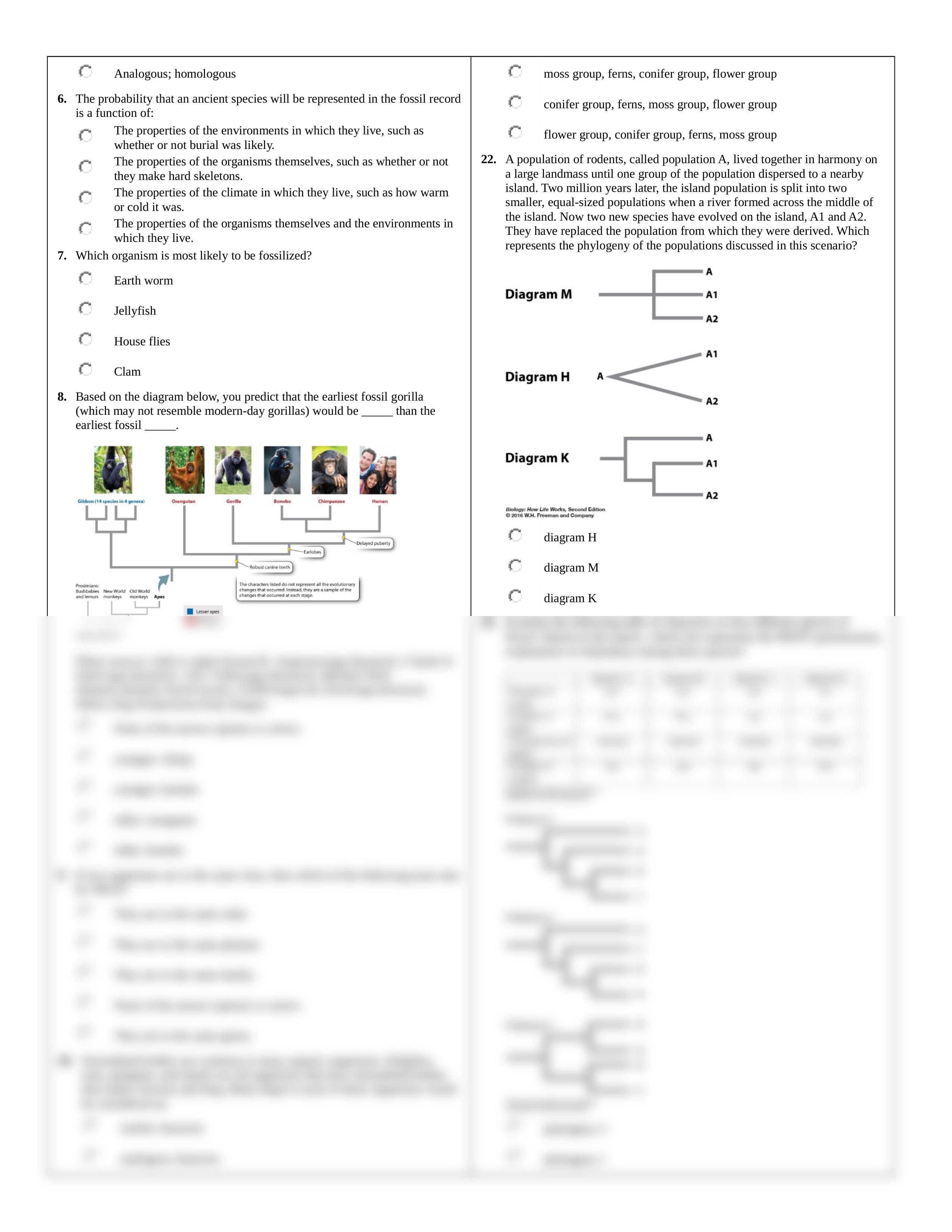 Ch 23 Homework.docx_df2e92ru4or_page2