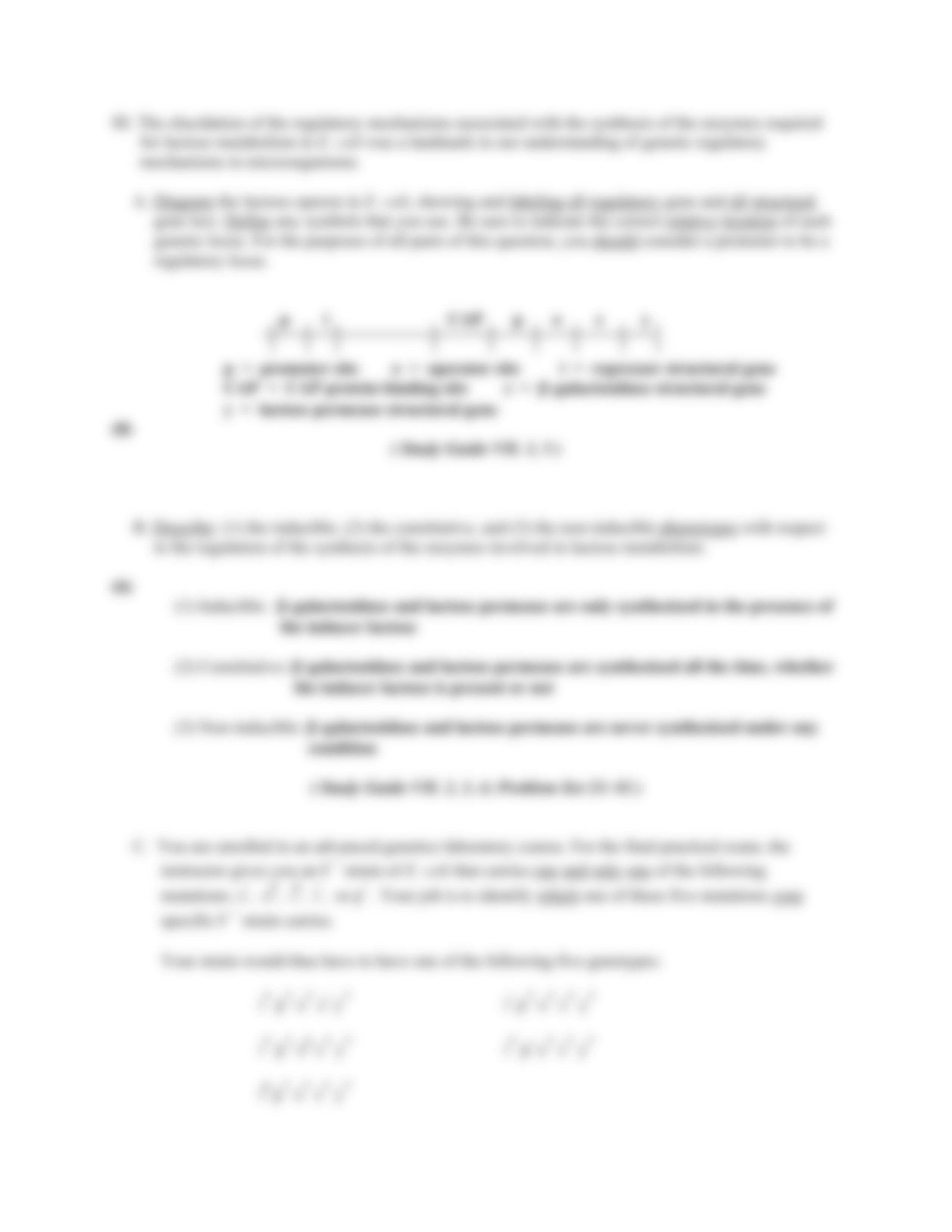 Final Exam: Genes and Mutations_dffy9i06mfj_page3