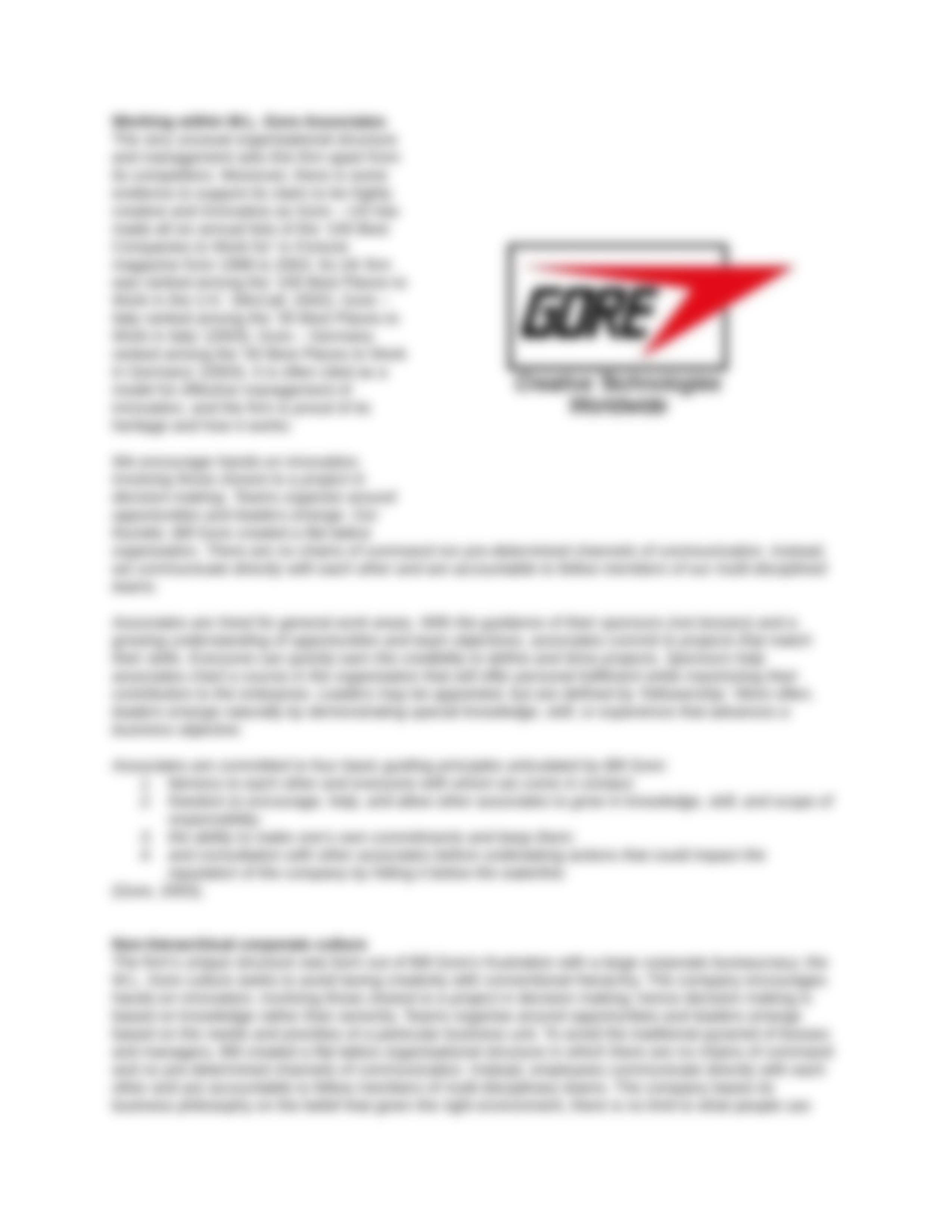 Case_study_Gore_tex_dfgi2j4s0rb_page3