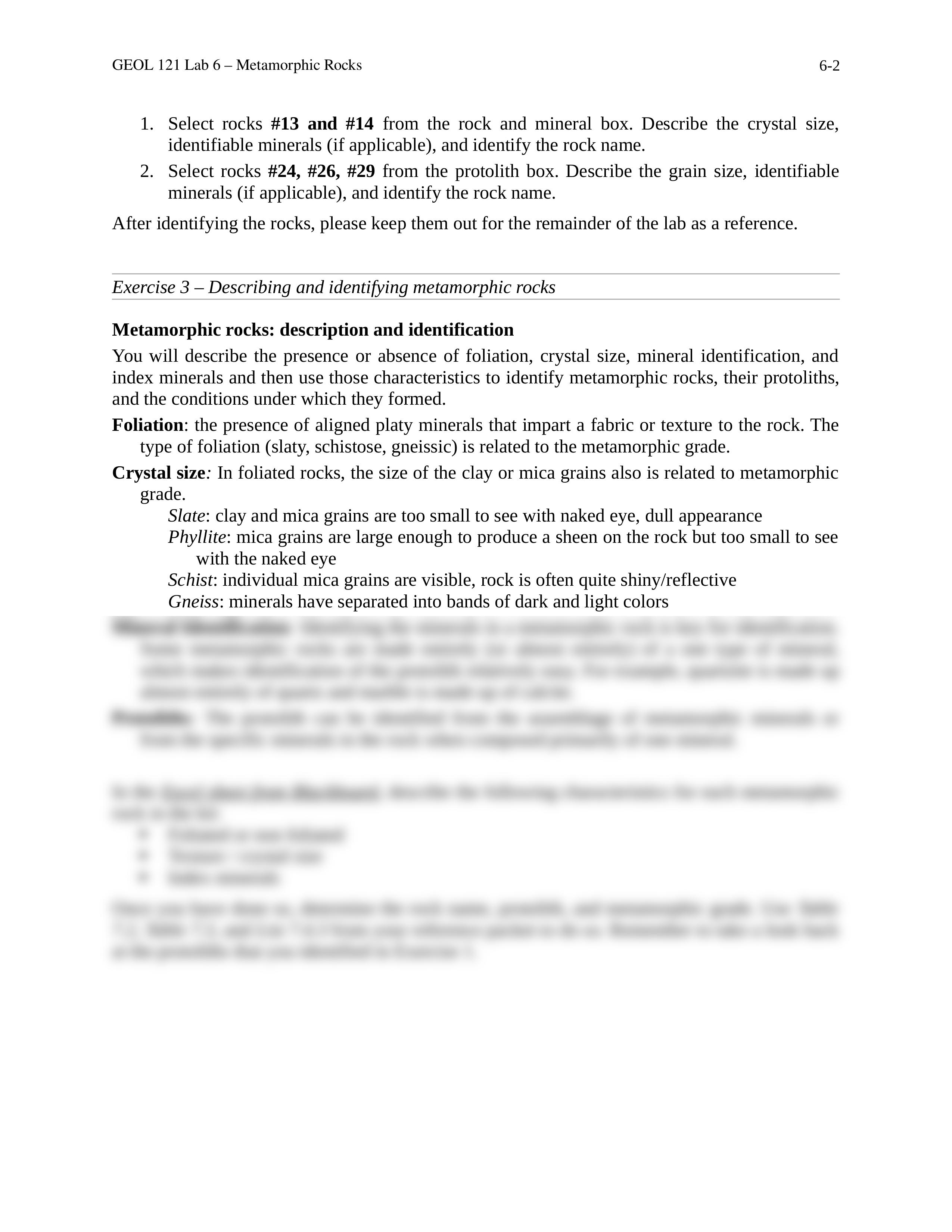 Lab 6 Metamorphic Rocks.docx_dfjxjobrhw4_page2