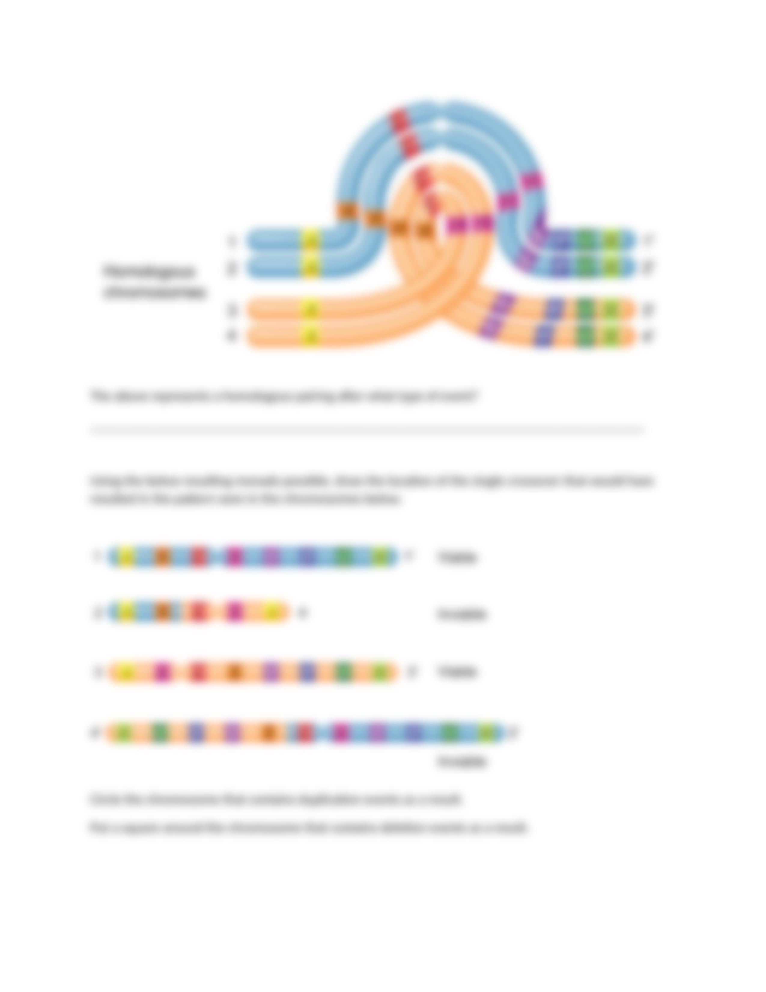 Genetics homework 5 key.docx_dfk5ba0wnxd_page5