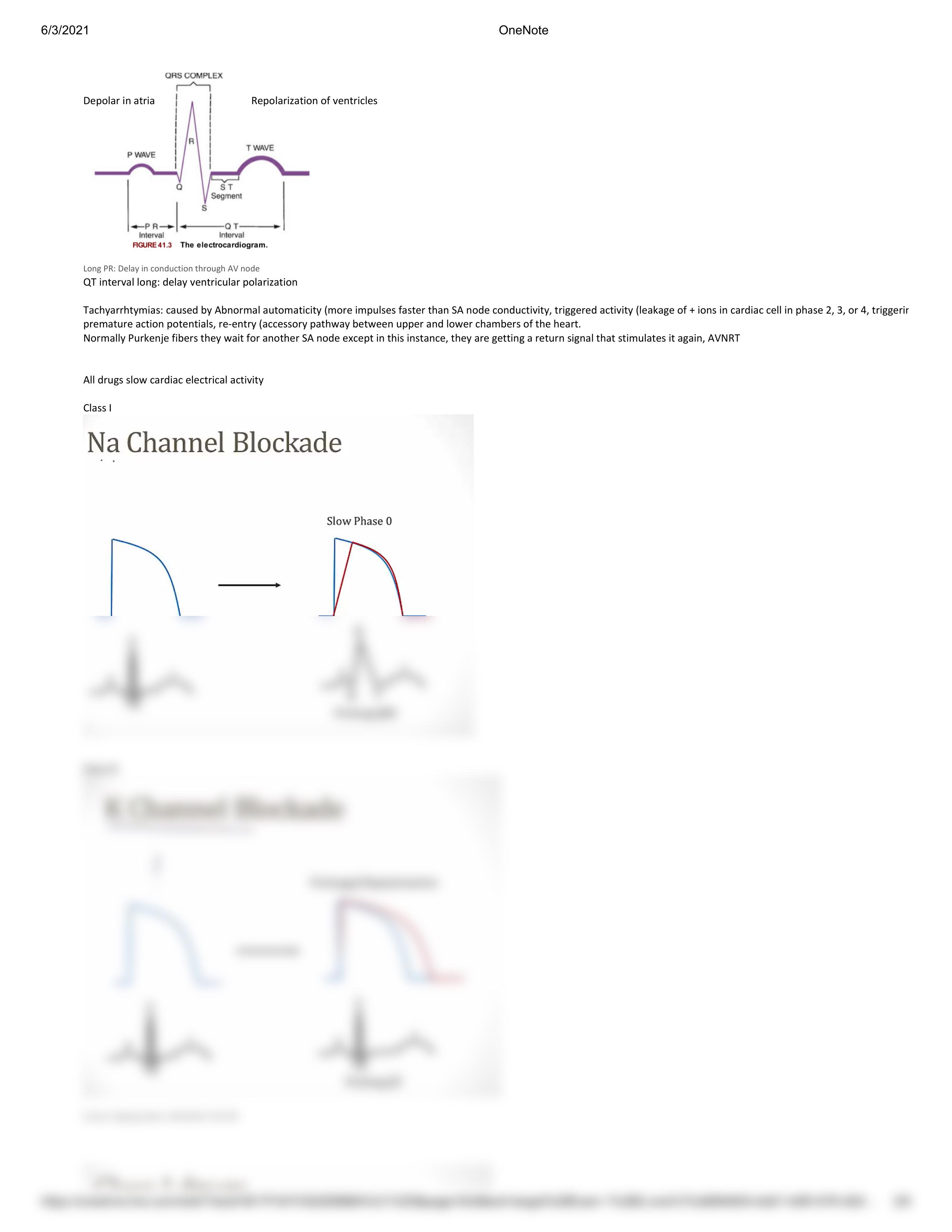 Pharmacology - M3 Antiarrthymia.pdf_dfkl82d38id_page2