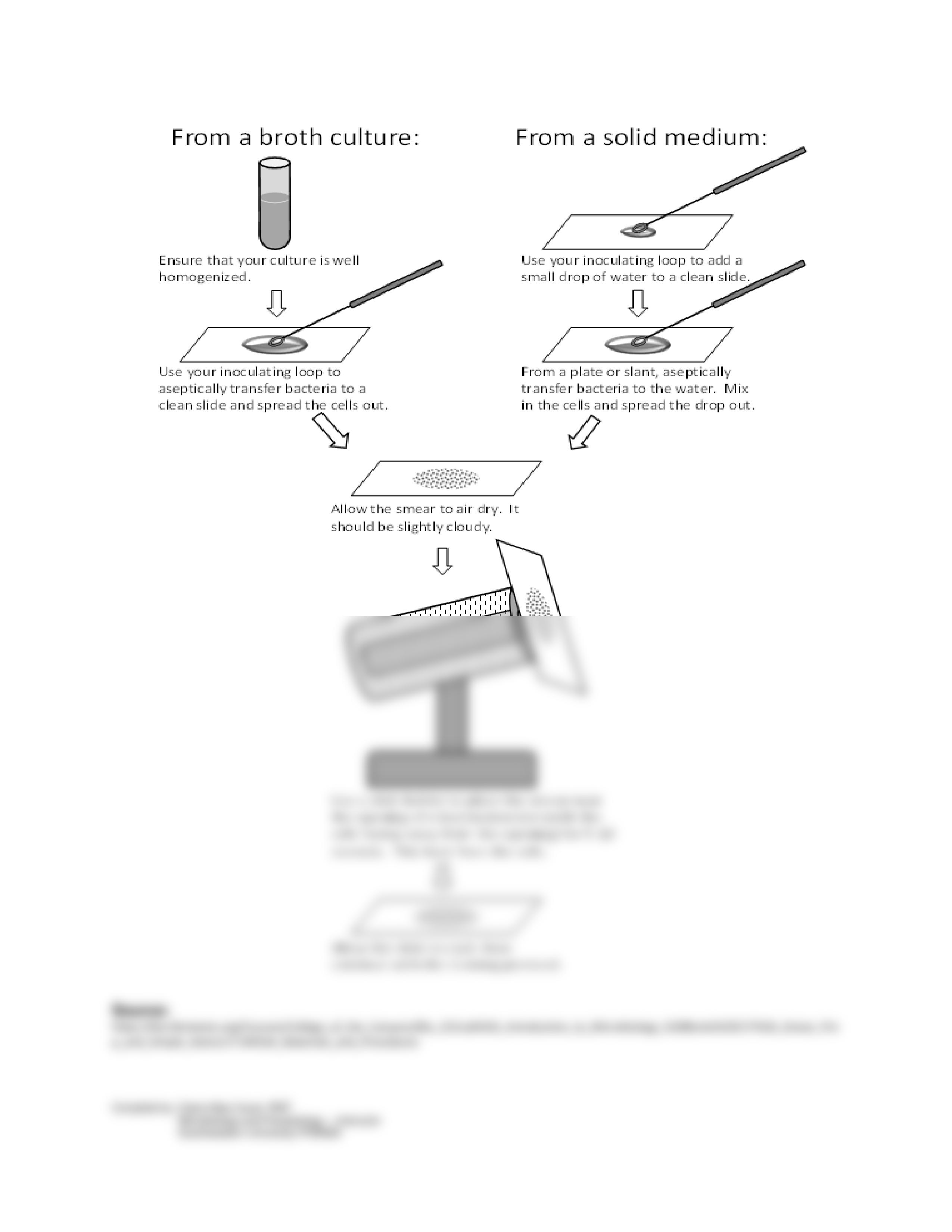 HES 032 BSN Lab Activity 4.pdf_dfklq1pxwc1_page2