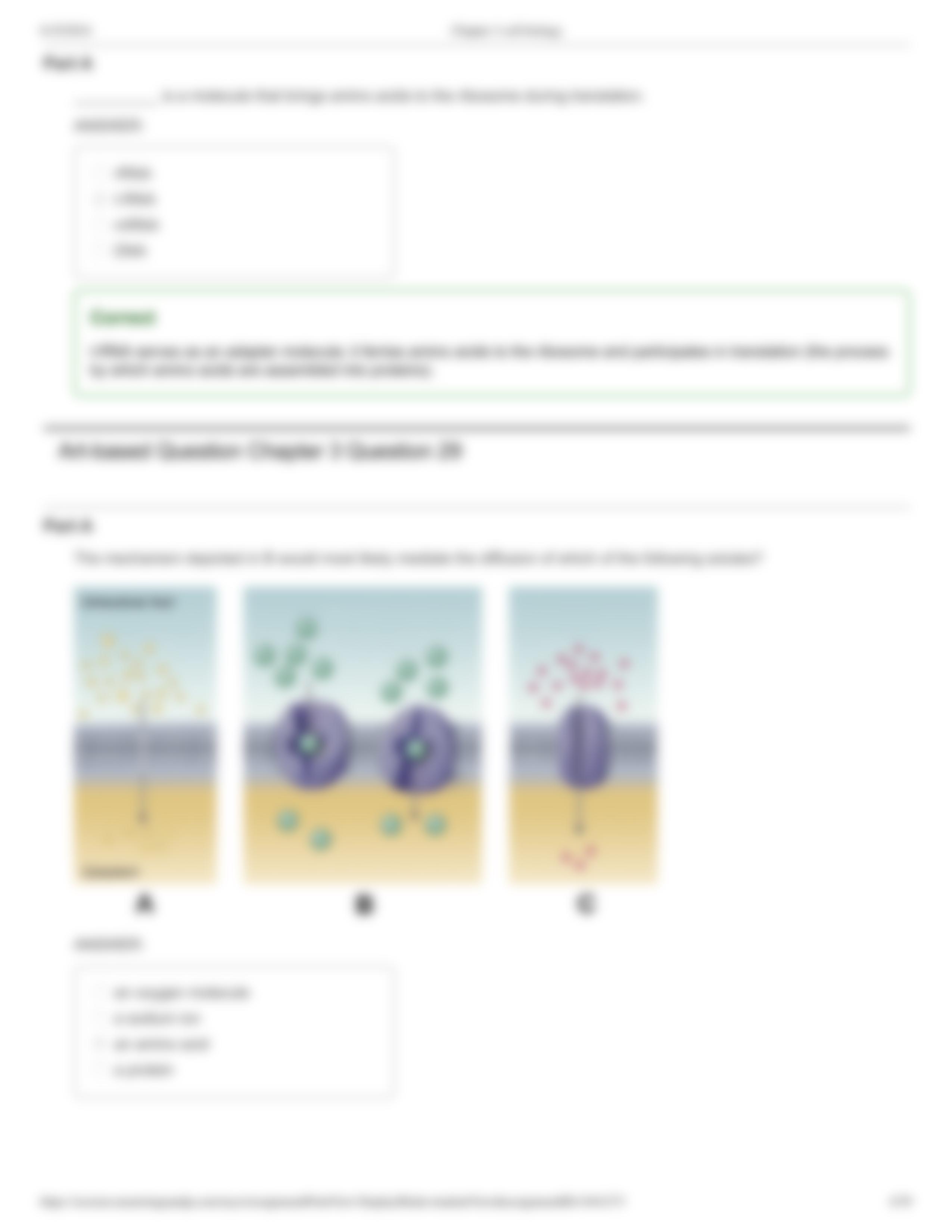 Lec - Chapter 3 cell biology_dfl5e24j1kj_page4