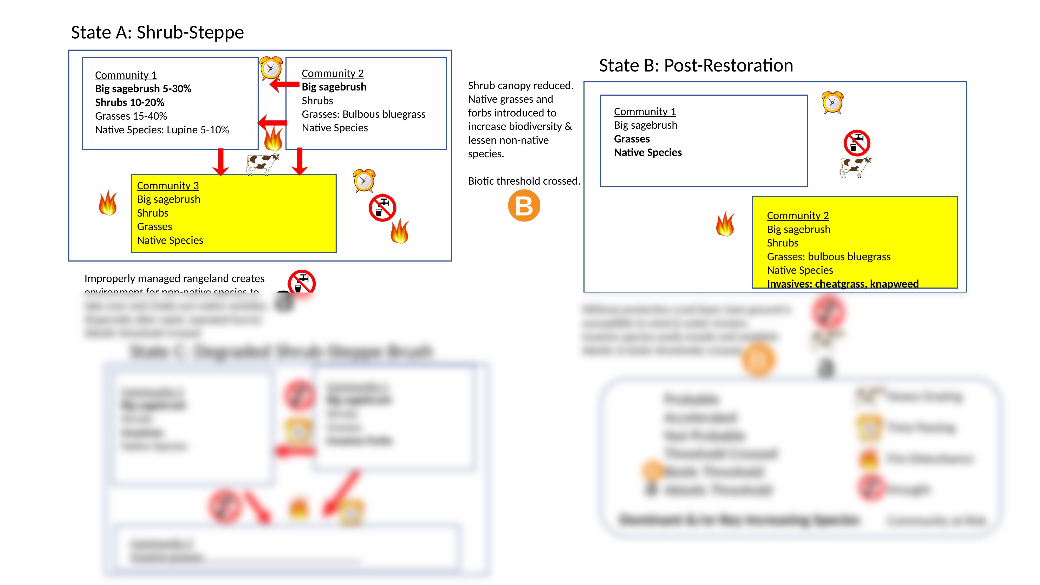 RNG341 State and Transition Model.pptx_dfo42qnsujl_page1