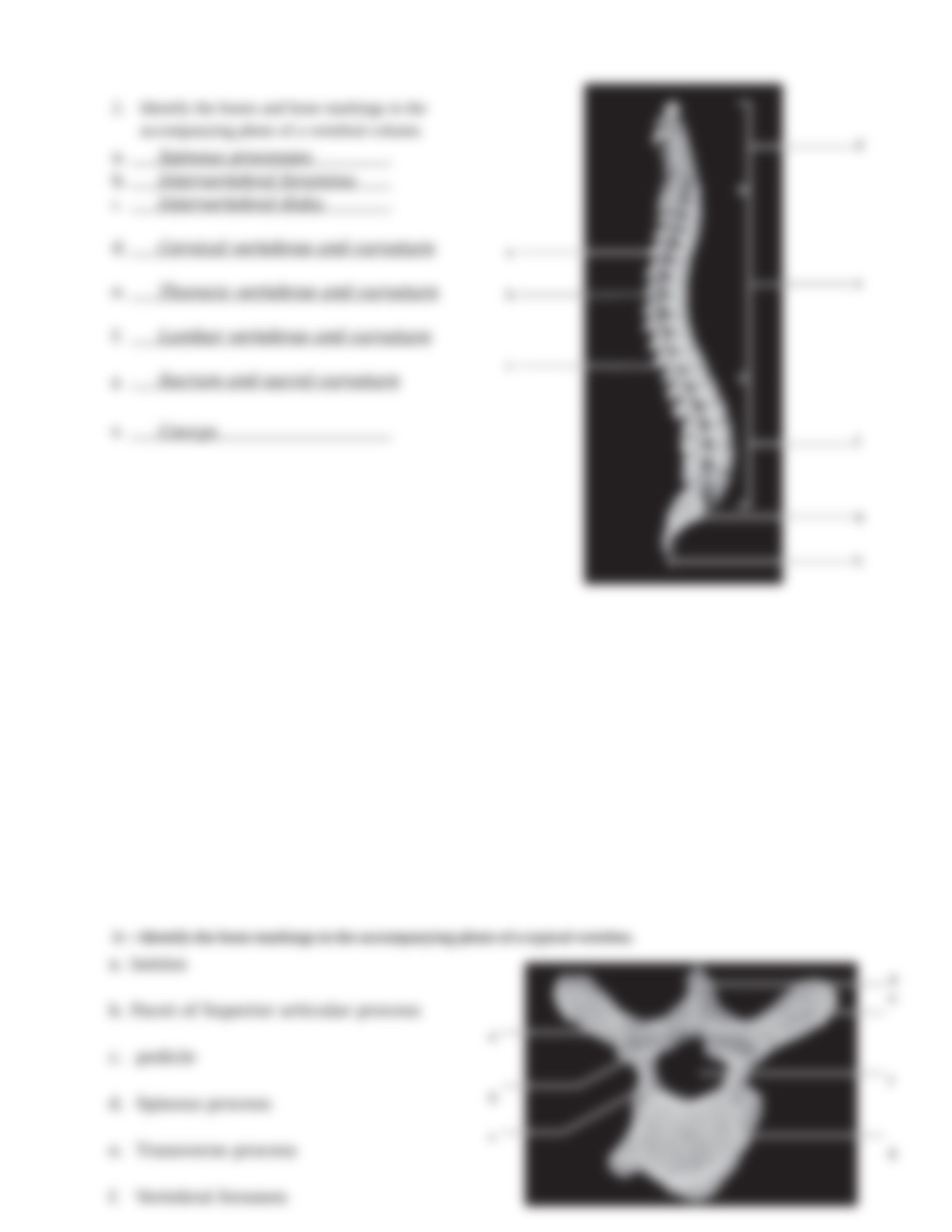 5. Unit 5 laboratory exercise 9_dfplumukai9_page3