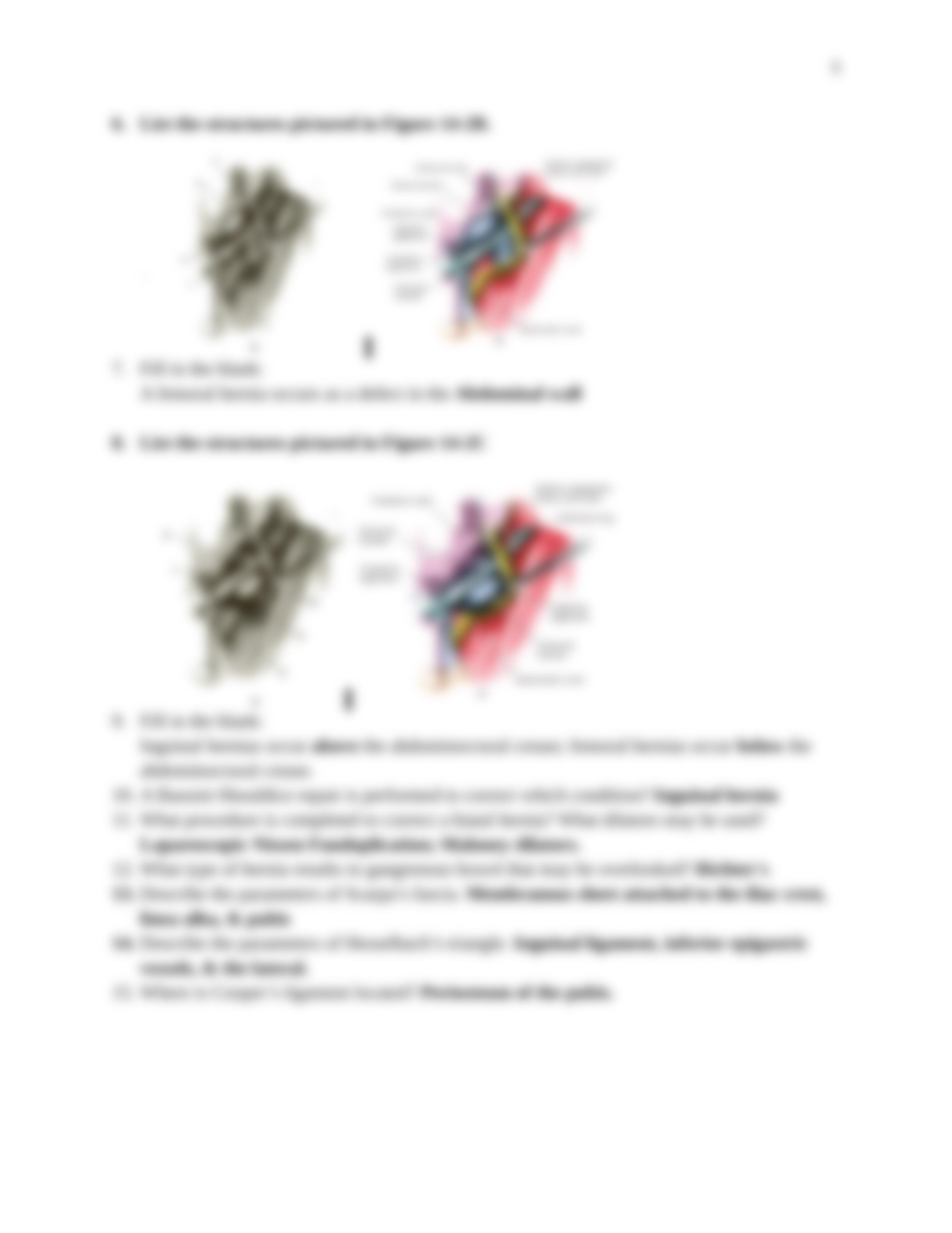 Chapter 14 Medical Term Review workbook answers.docx_dfxd1ovu8za_page5