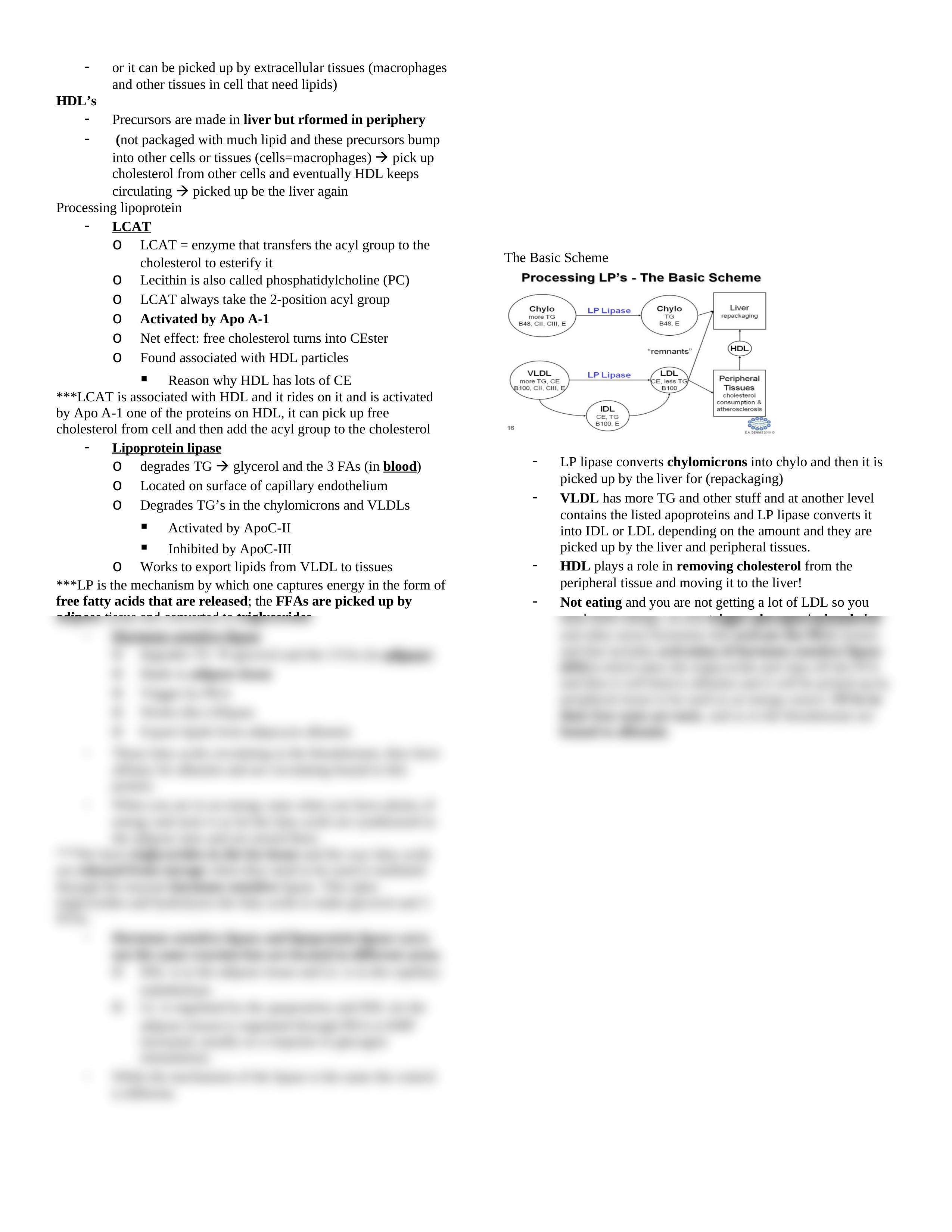 Lecture 14 - Lipoprotein Structure and Receptor Function_dfzhkzq3goh_page2