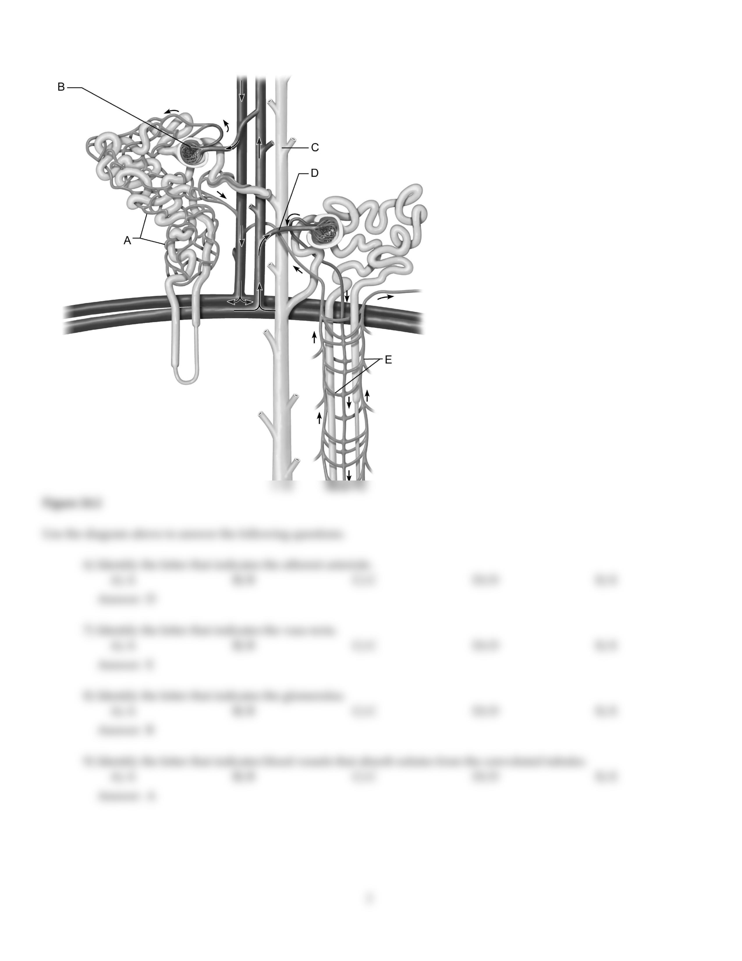 CH24.pdf_dg050ns319j_page2