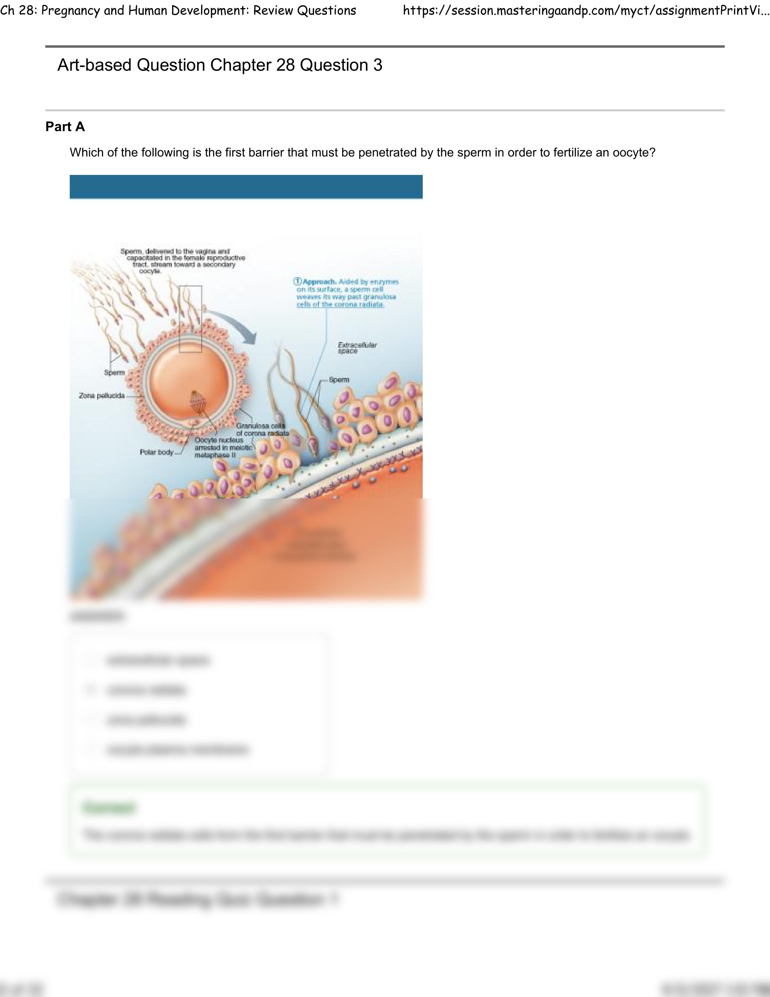 Ch 28_ Pregnancy and Human Development_ Review Questions_dg1axacfz5g_page2