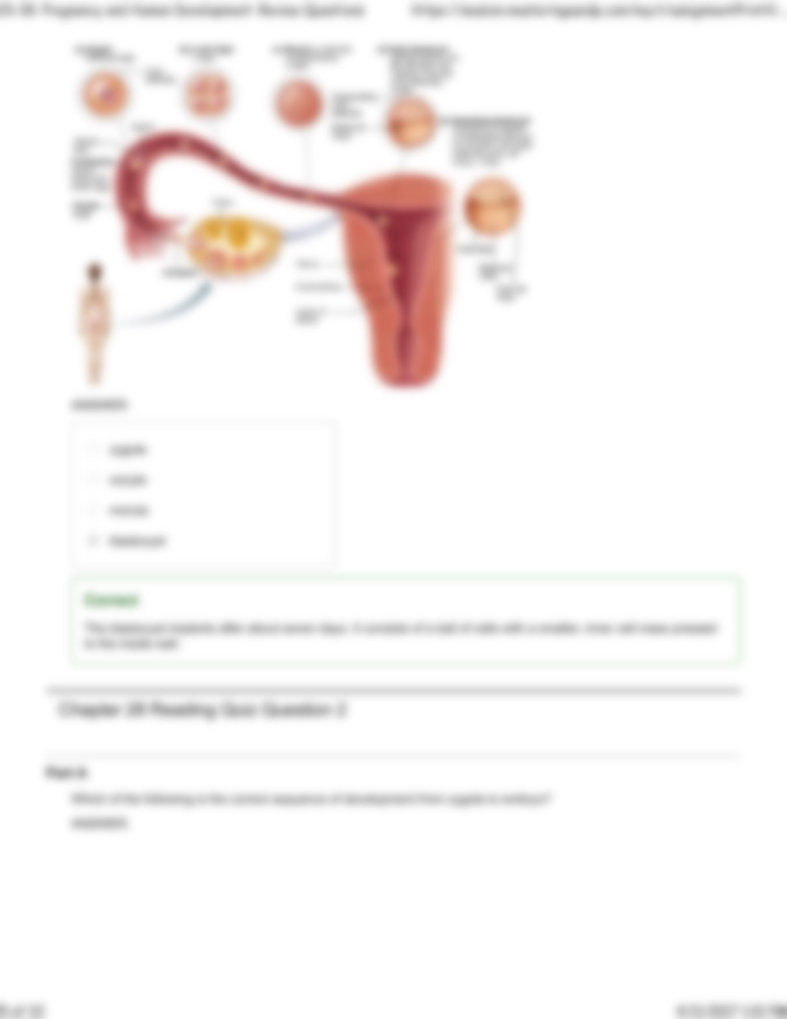 Ch 28_ Pregnancy and Human Development_ Review Questions_dg1axacfz5g_page5