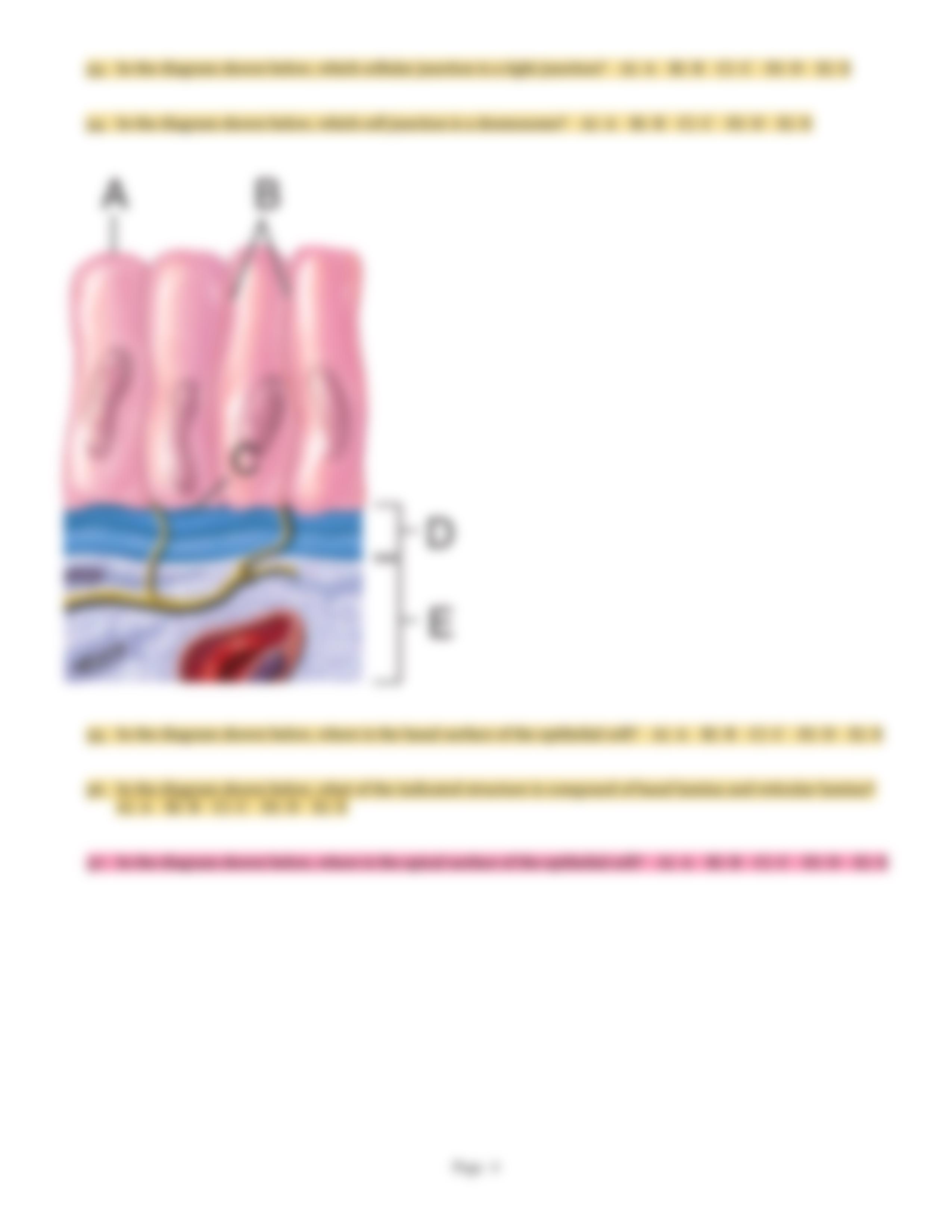 QB TISSUE CHAPTER-2_dg7lyyad0au_page4