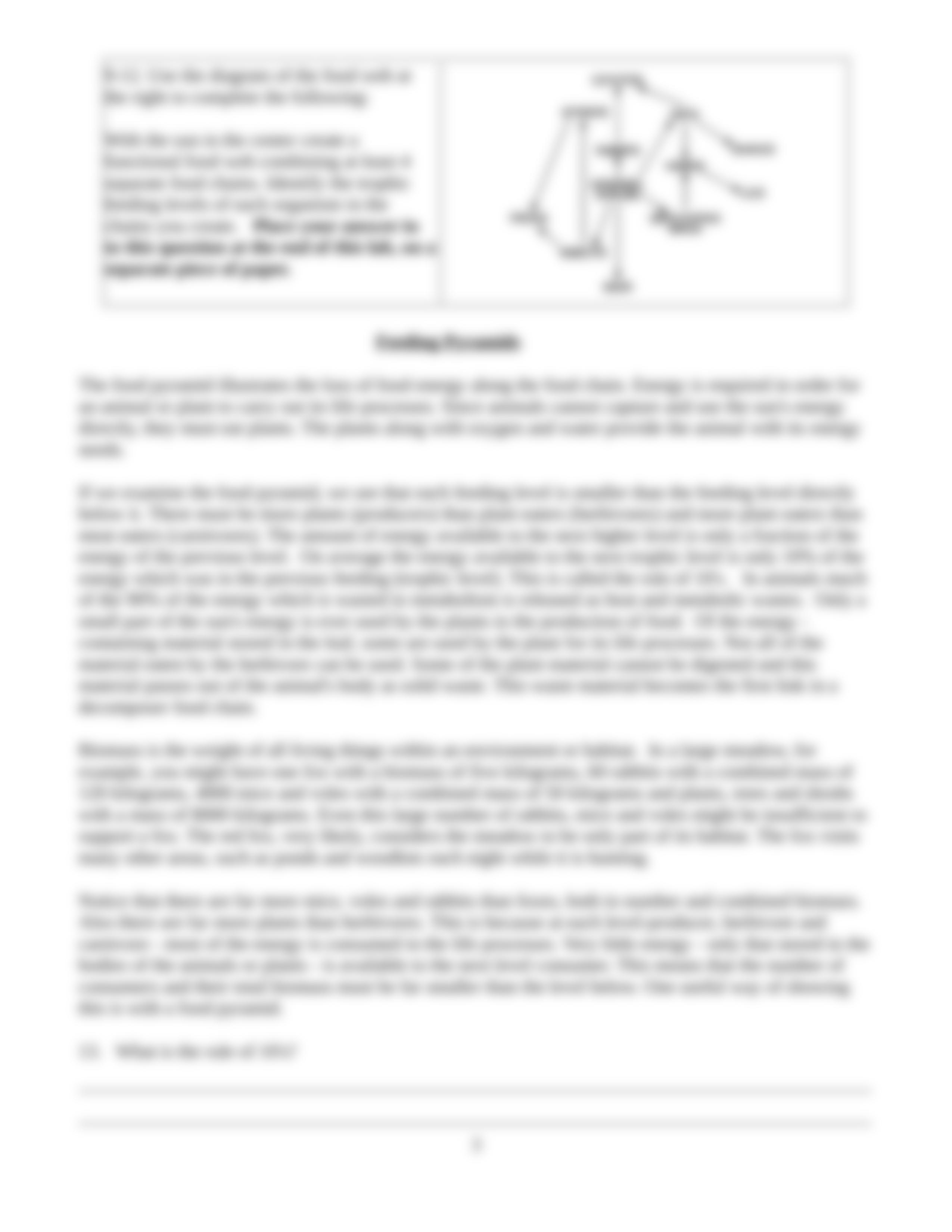 EV103 - Food Chains and Food Webs Lab(1) (1).doc_dgaxqo7szex_page3