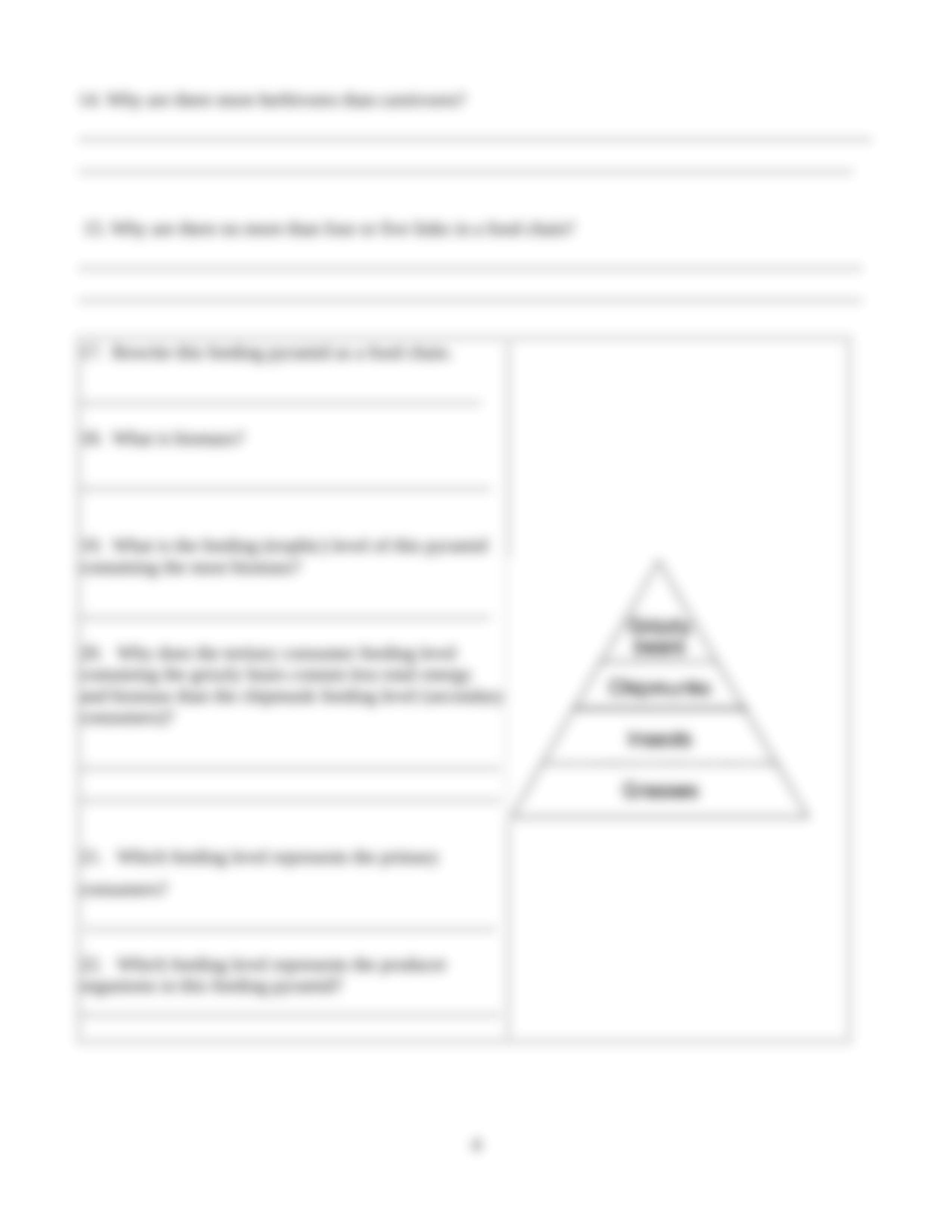 EV103 - Food Chains and Food Webs Lab(1) (1).doc_dgaxqo7szex_page4